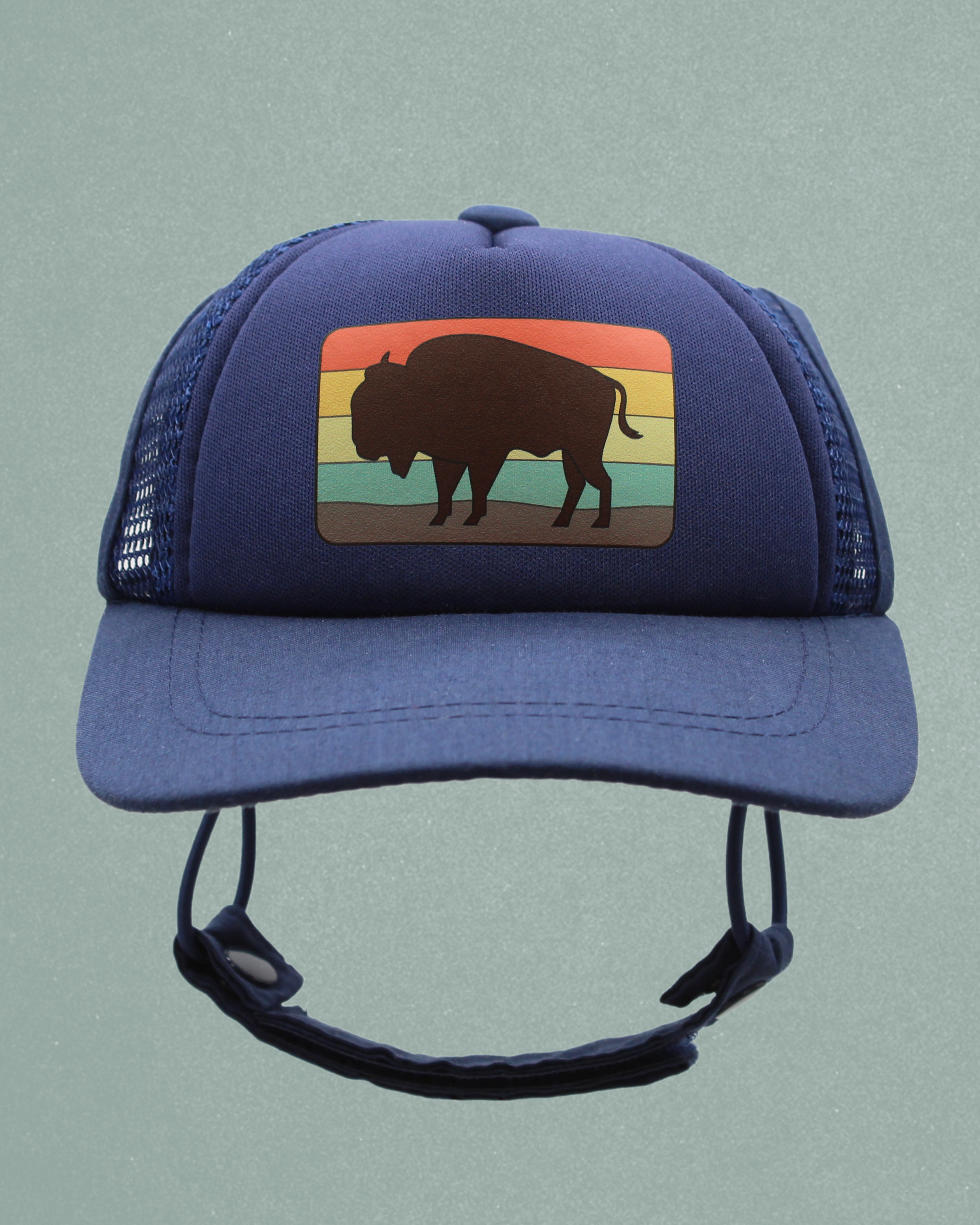 bison