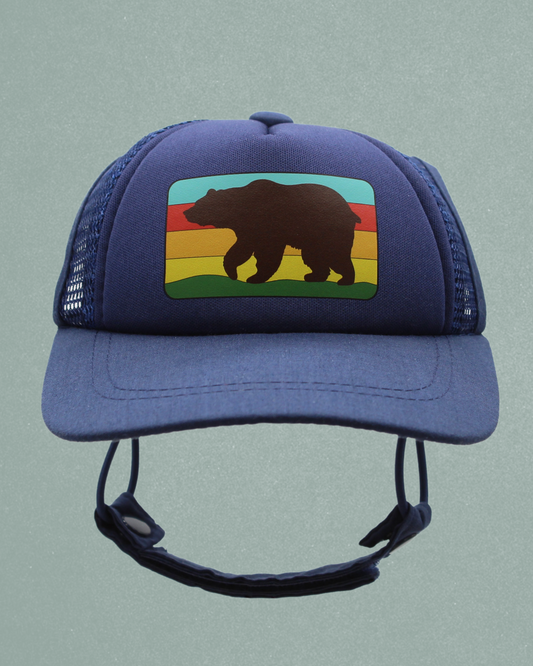bear cat hat