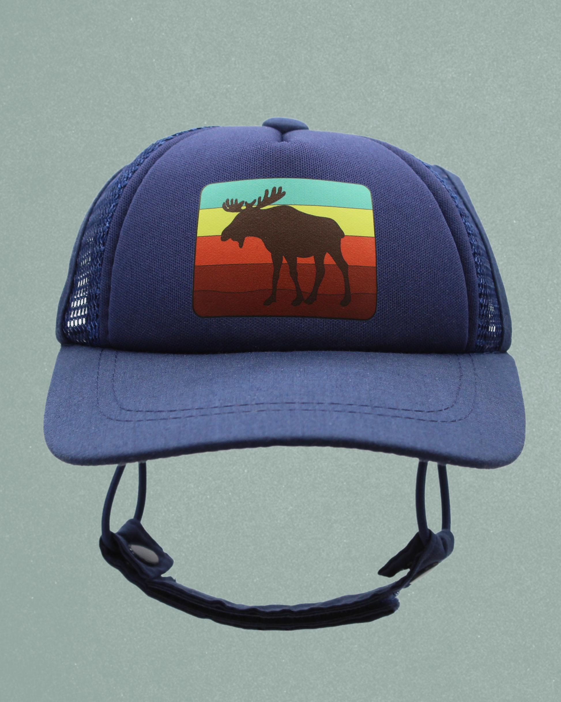 moose