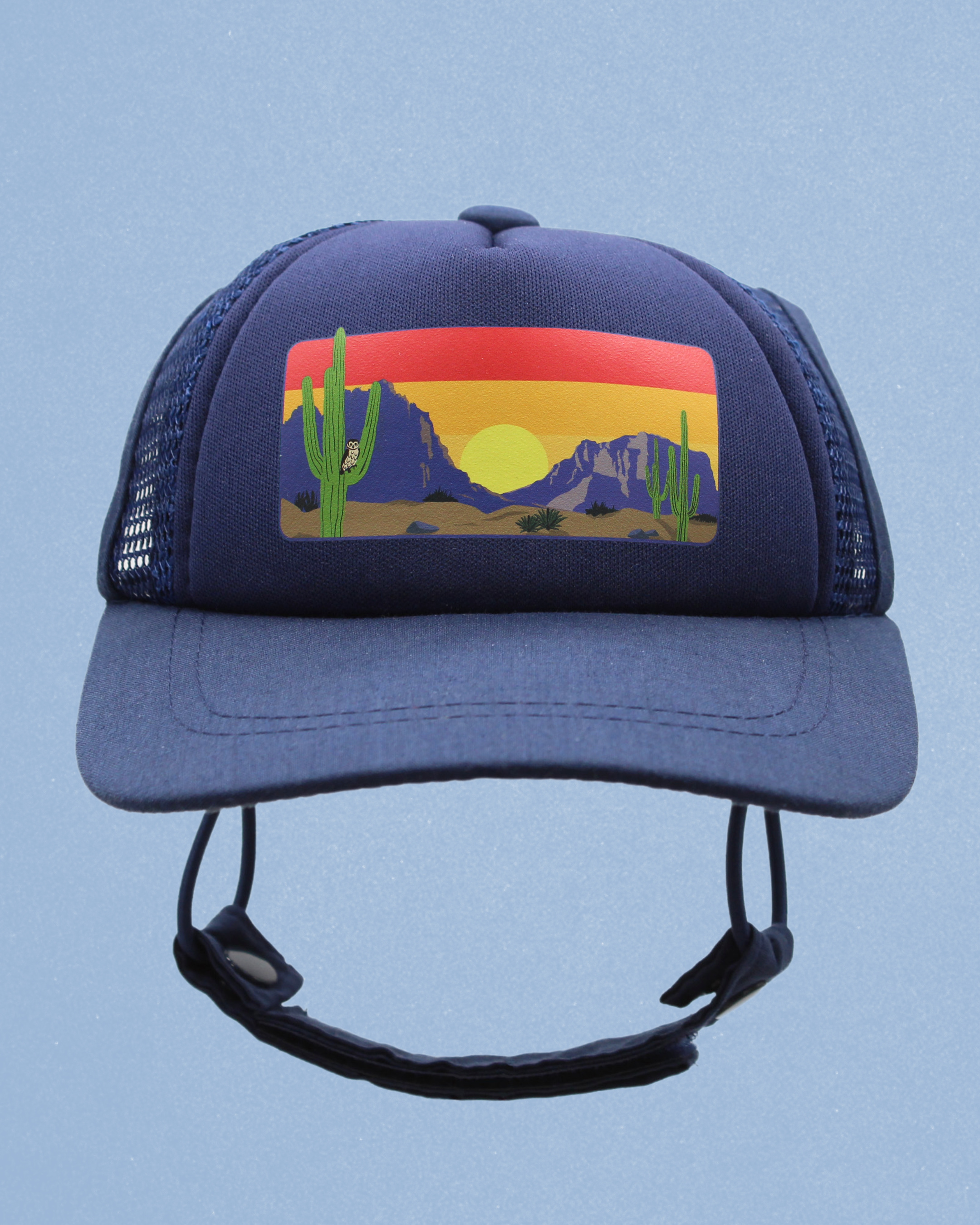 desert owl cat hat