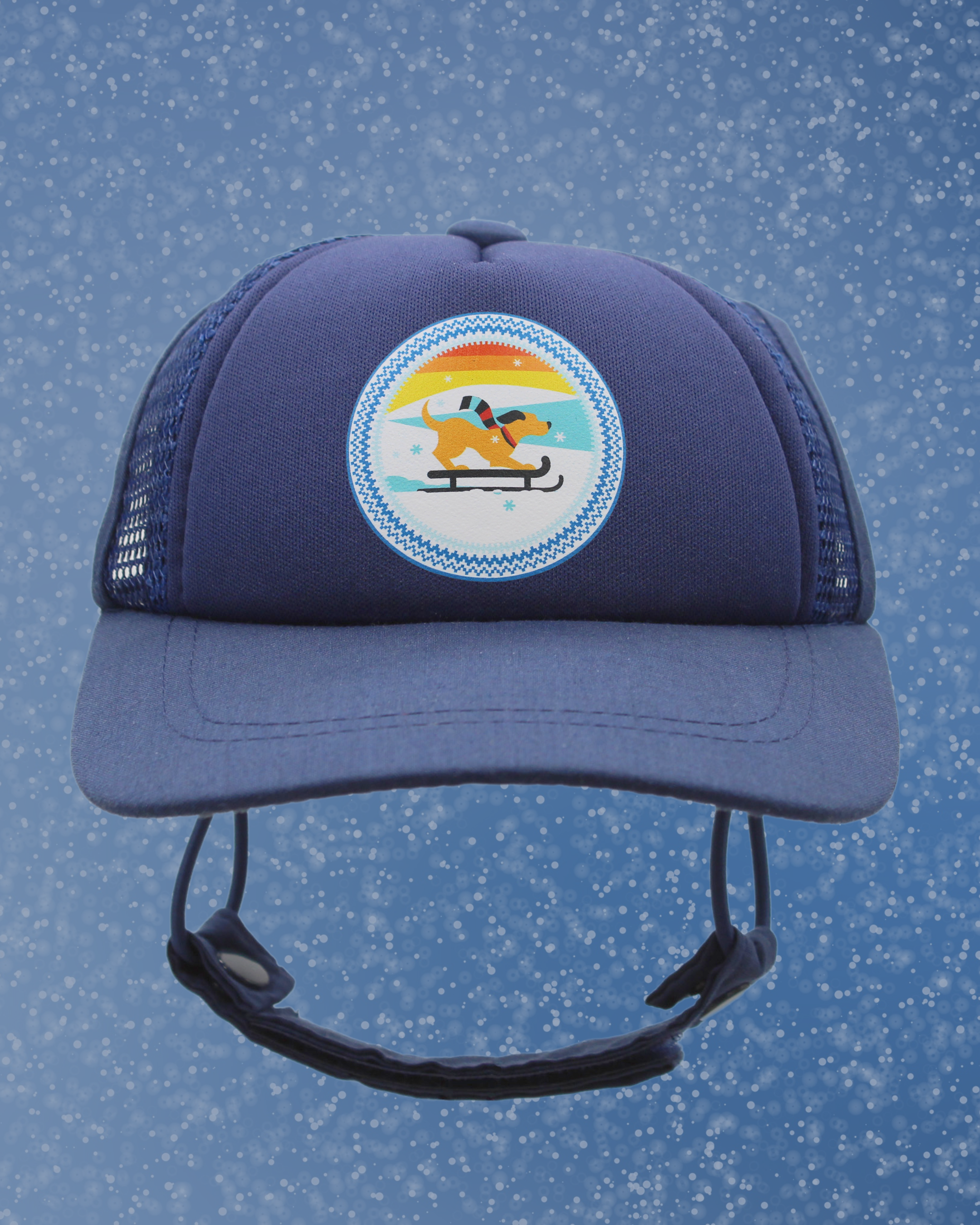 sled dog