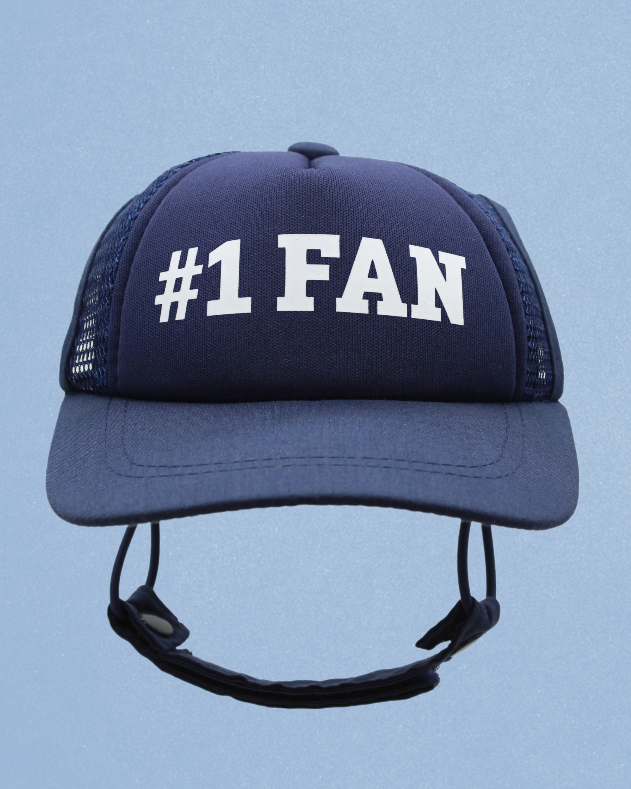 #1 fan
