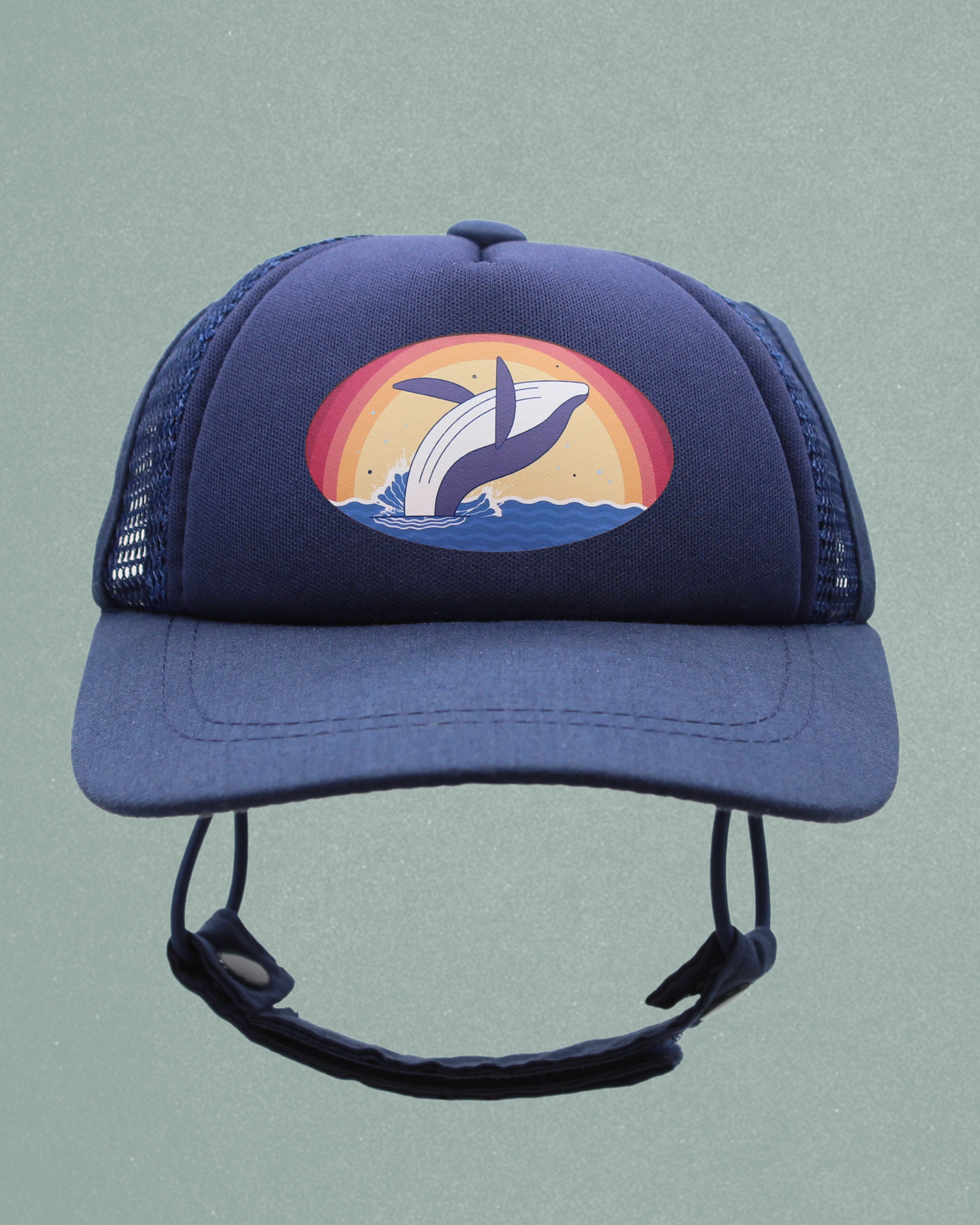 whale