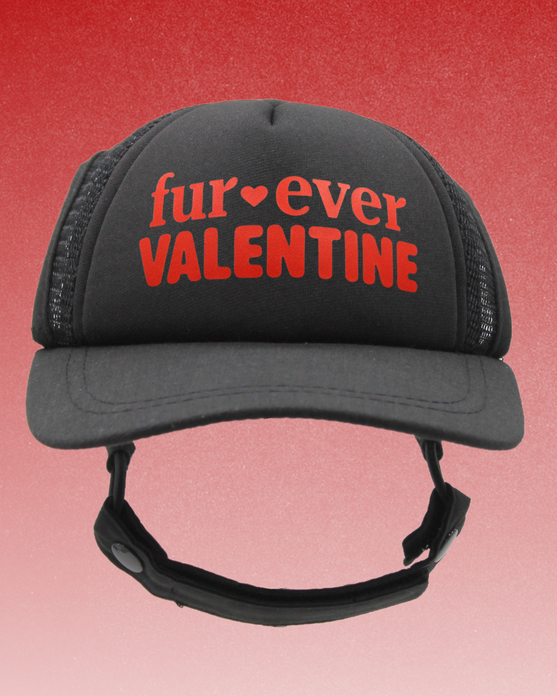 fur-ever valentine
