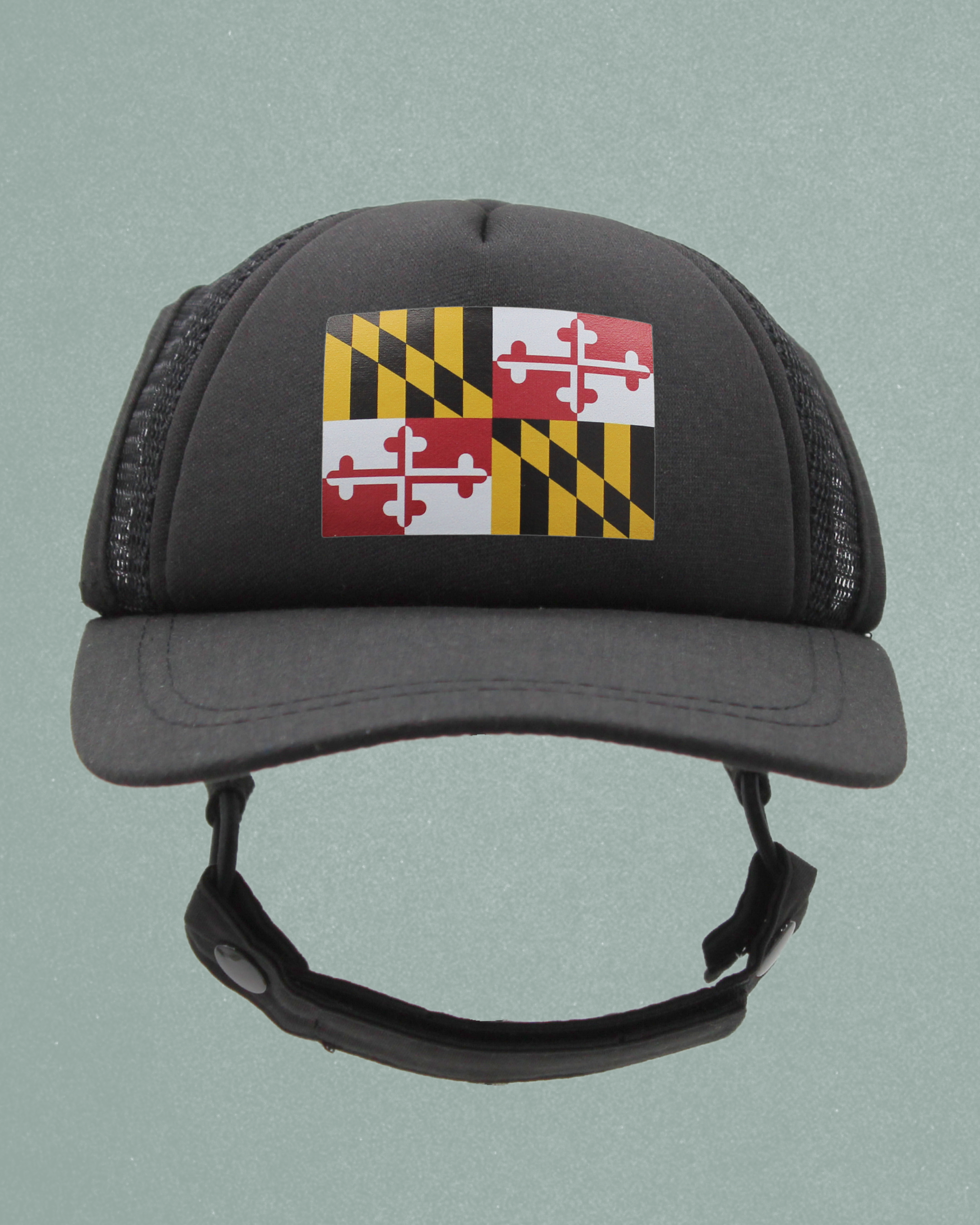 maryland flag