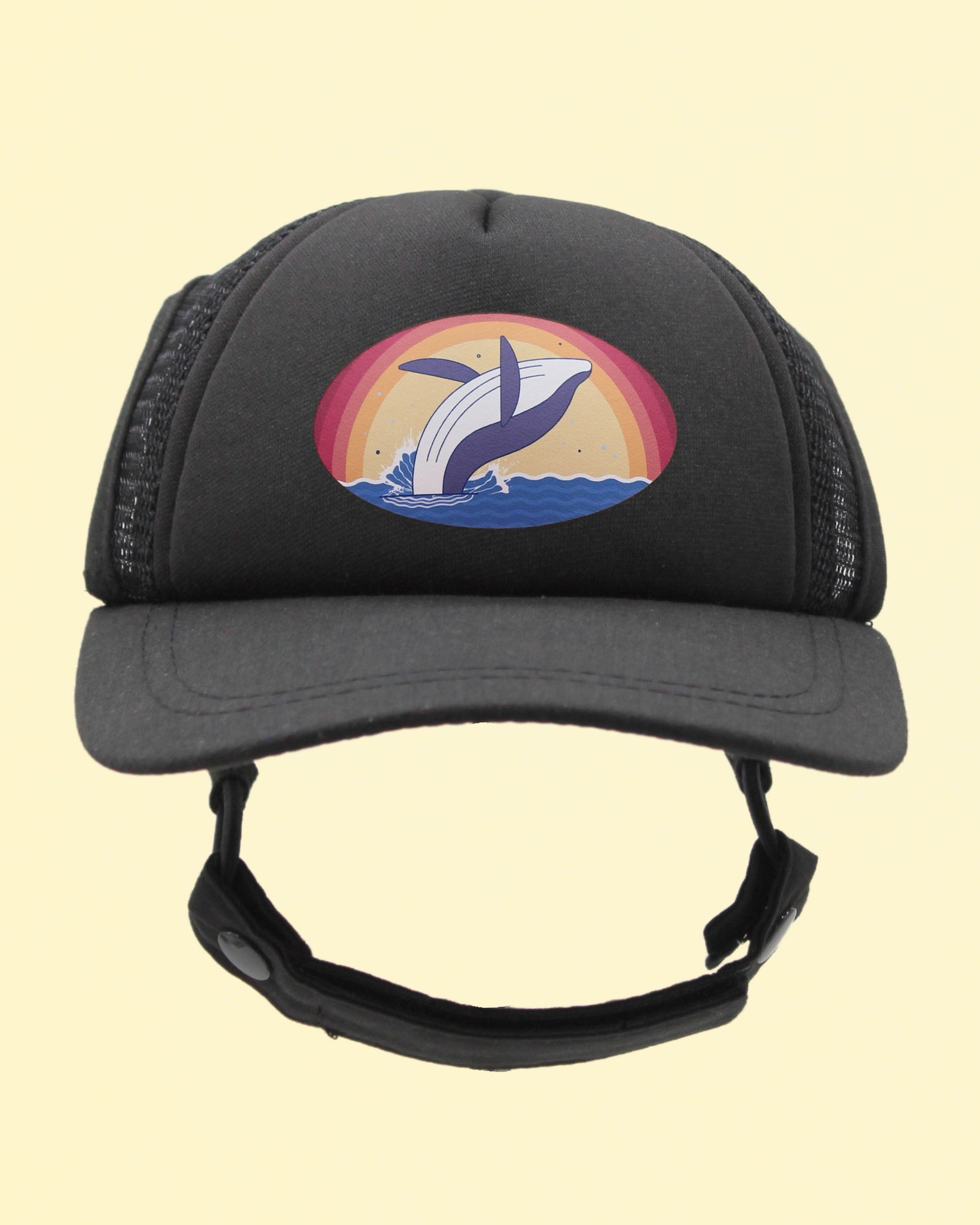 whale