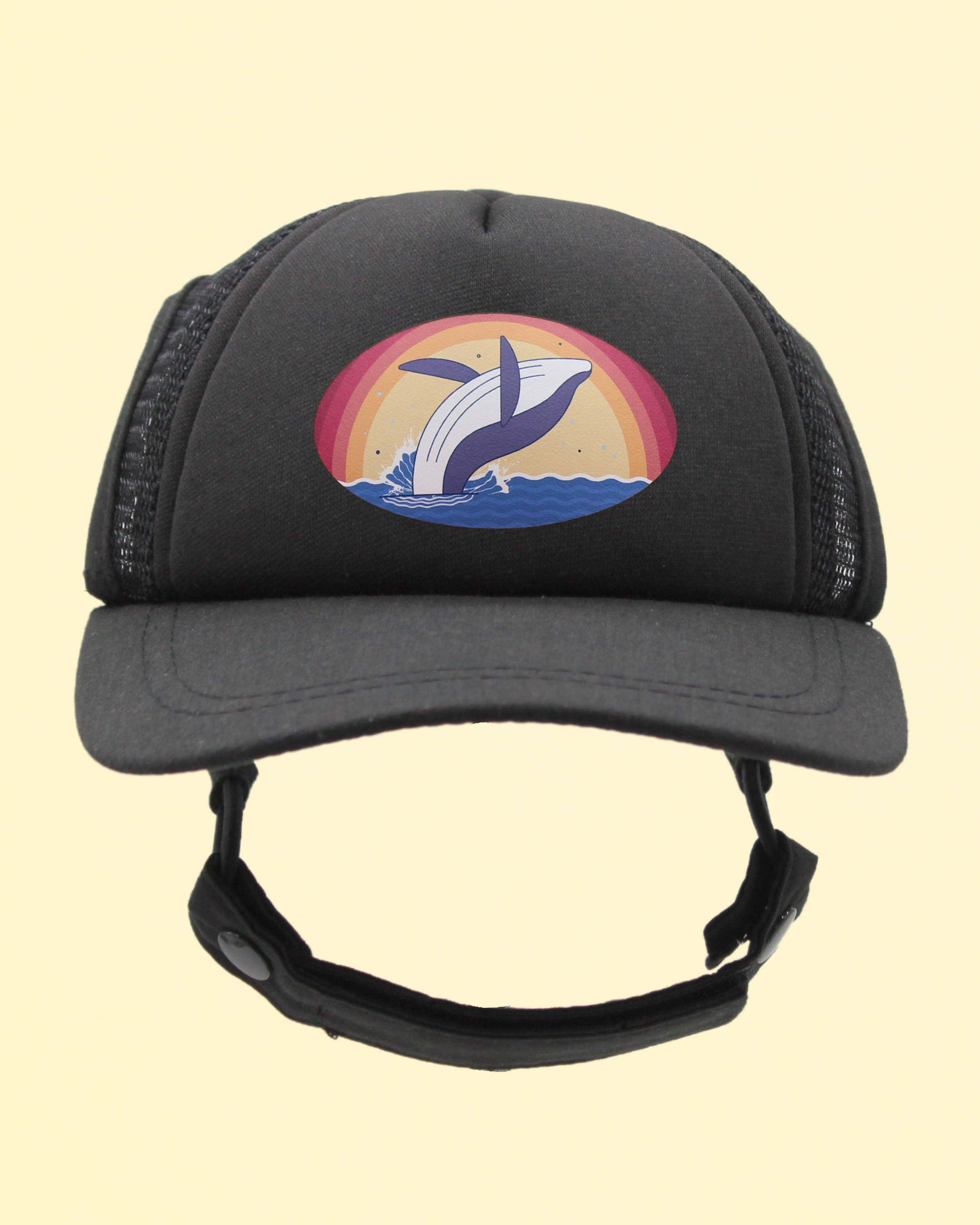 whale