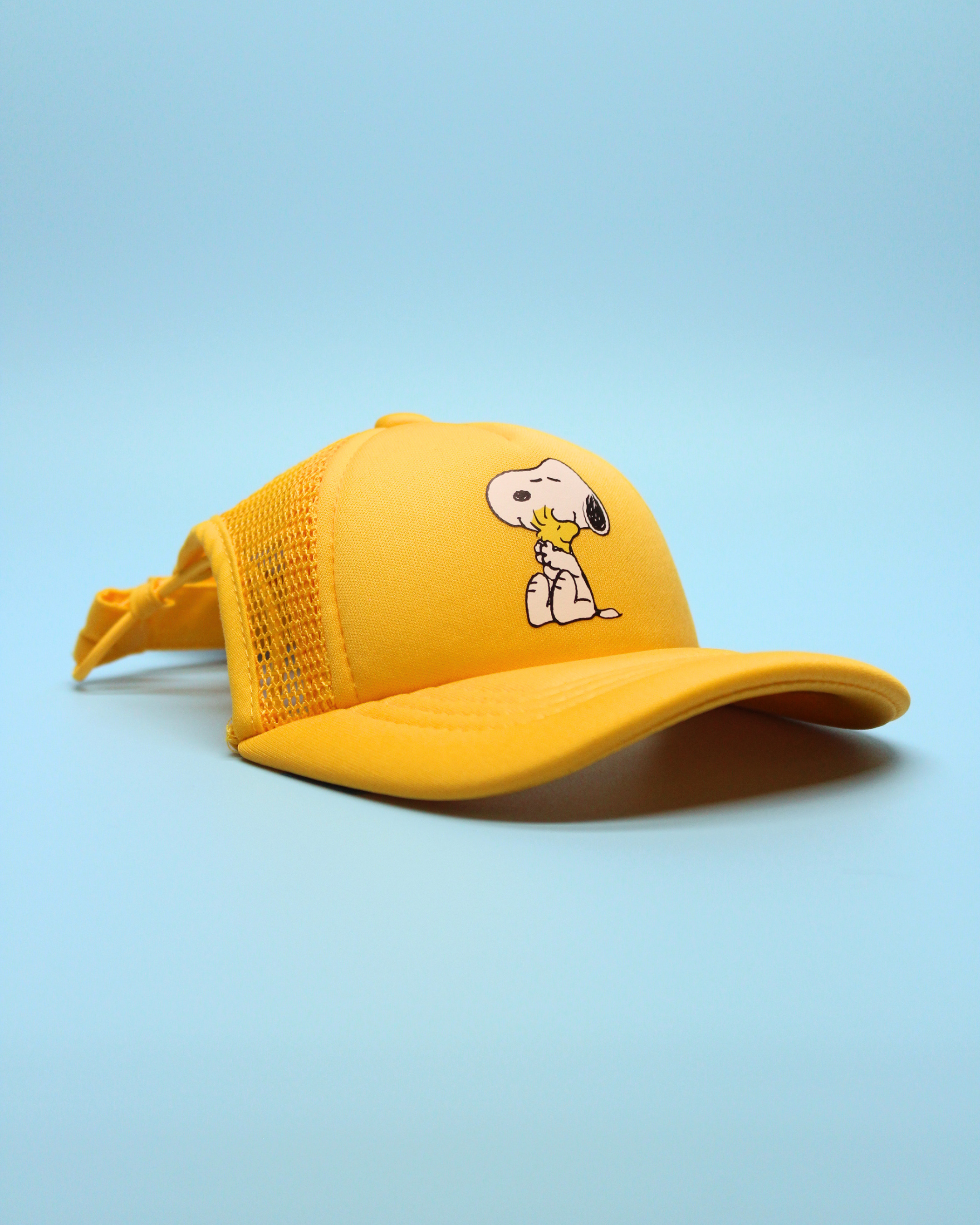 snoopy & woodstock hug