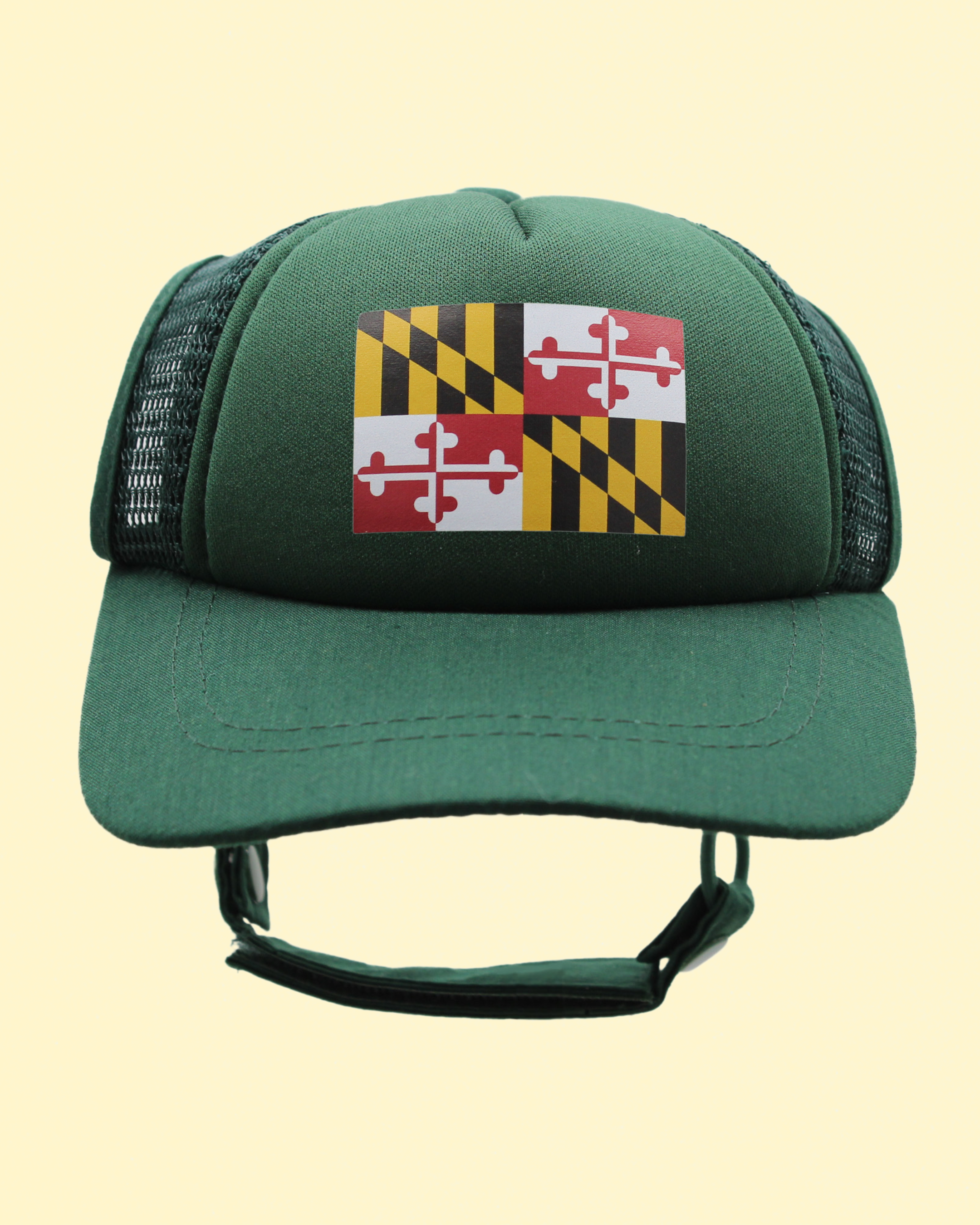 maryland flag