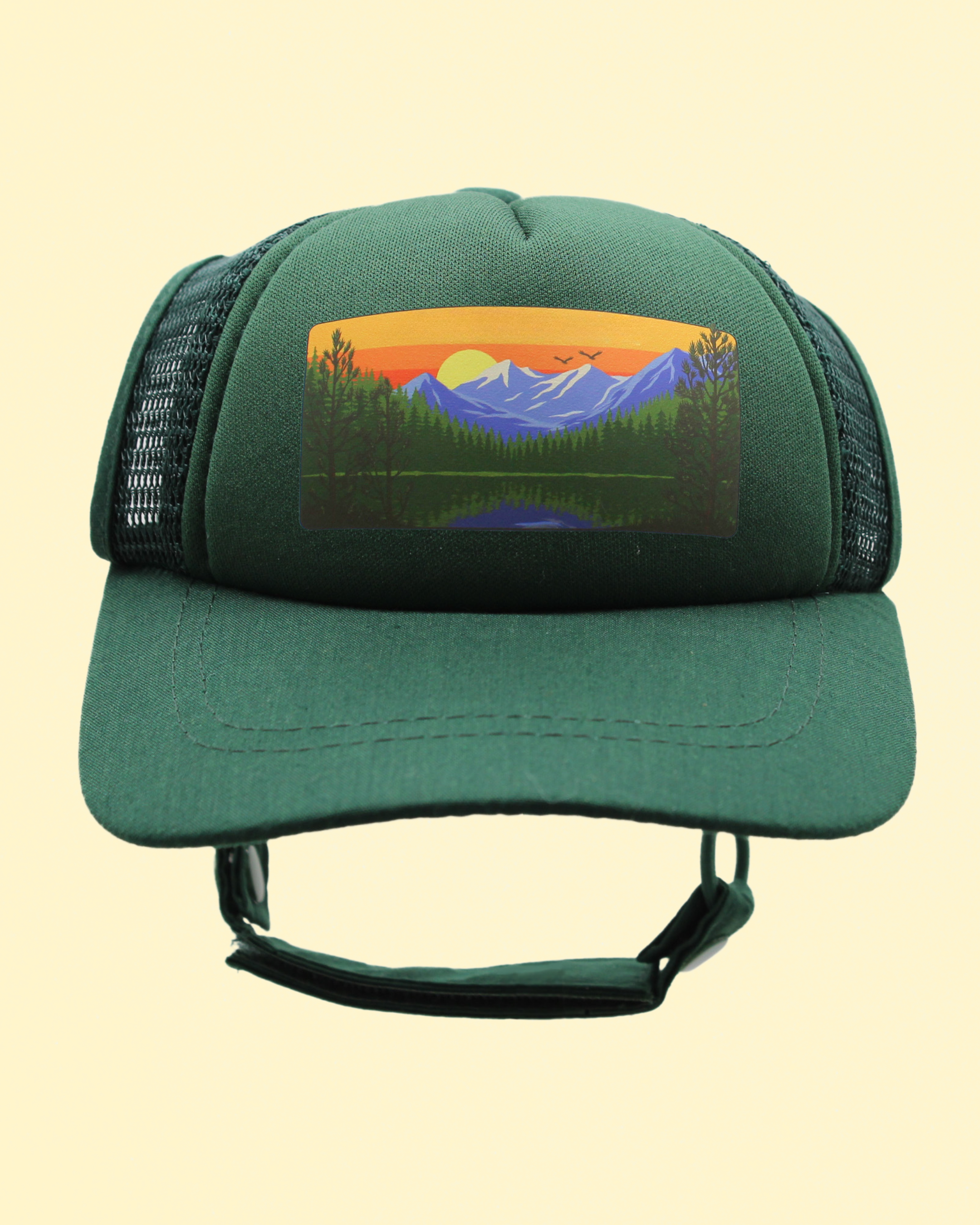 mountain lake cat hat