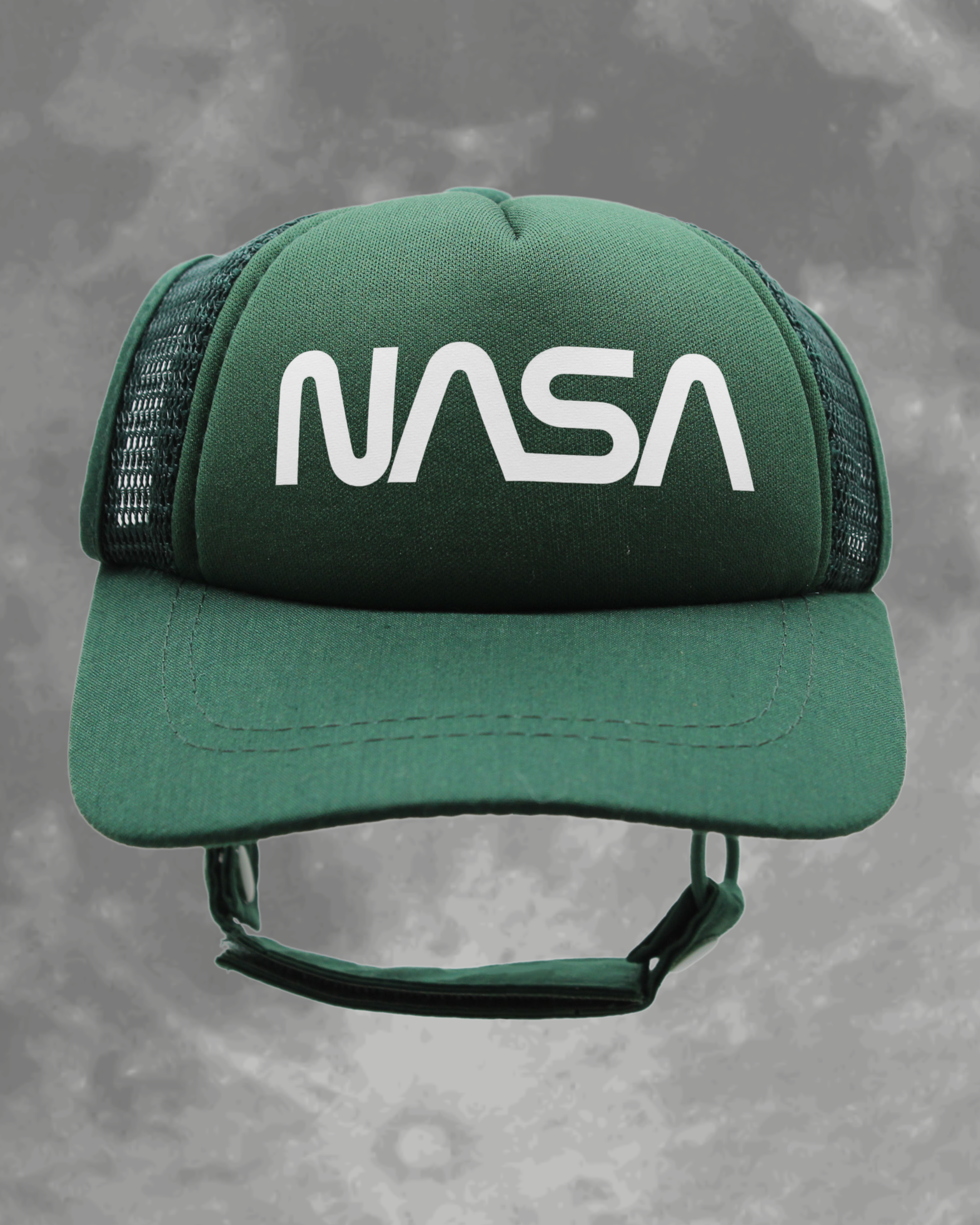 NASA worm