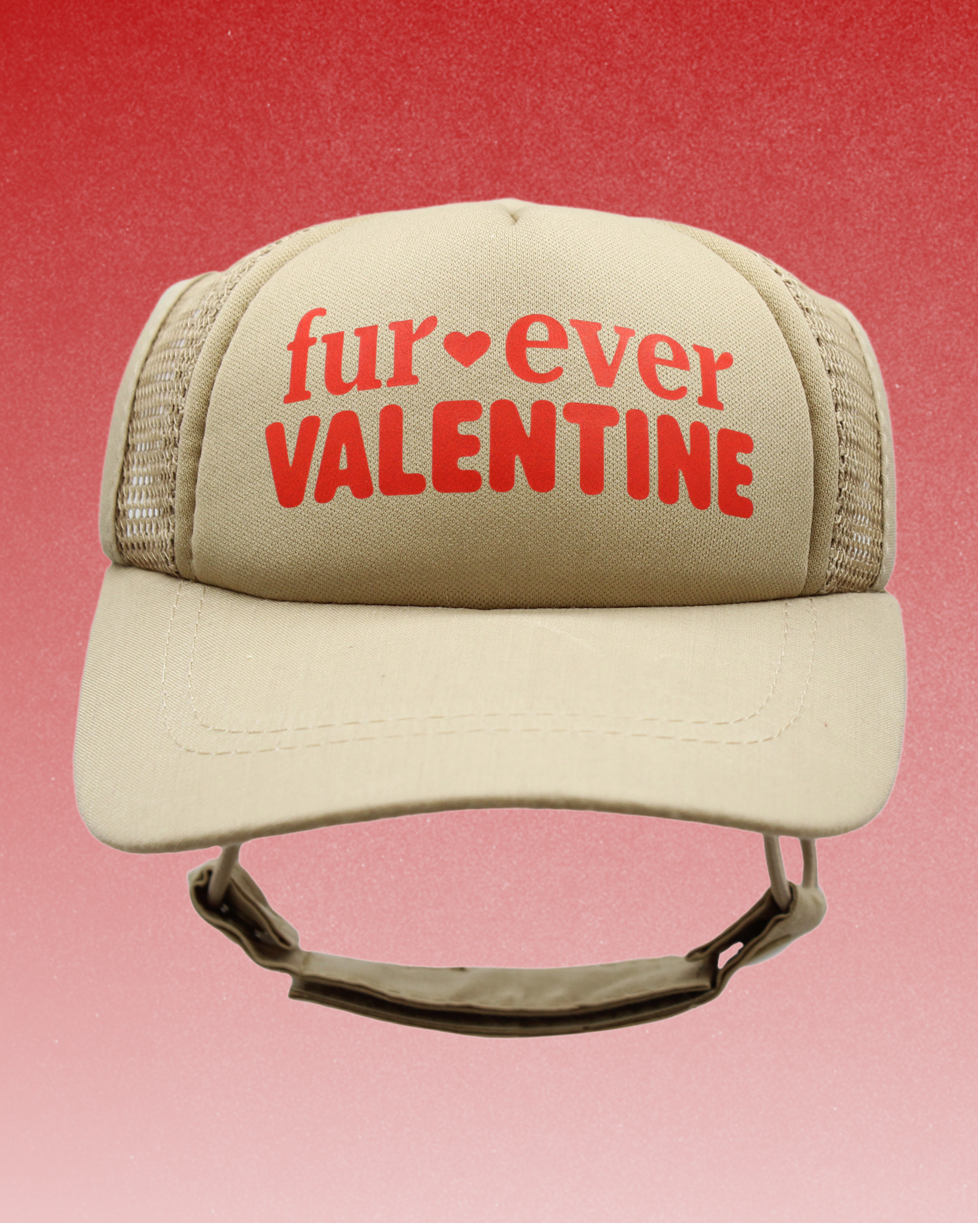 fur-ever valentine