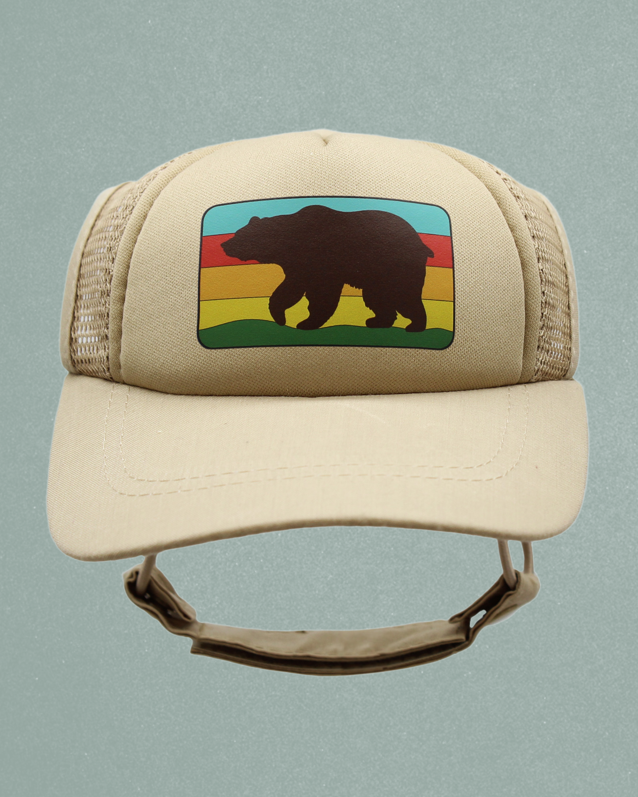 bear cat hat