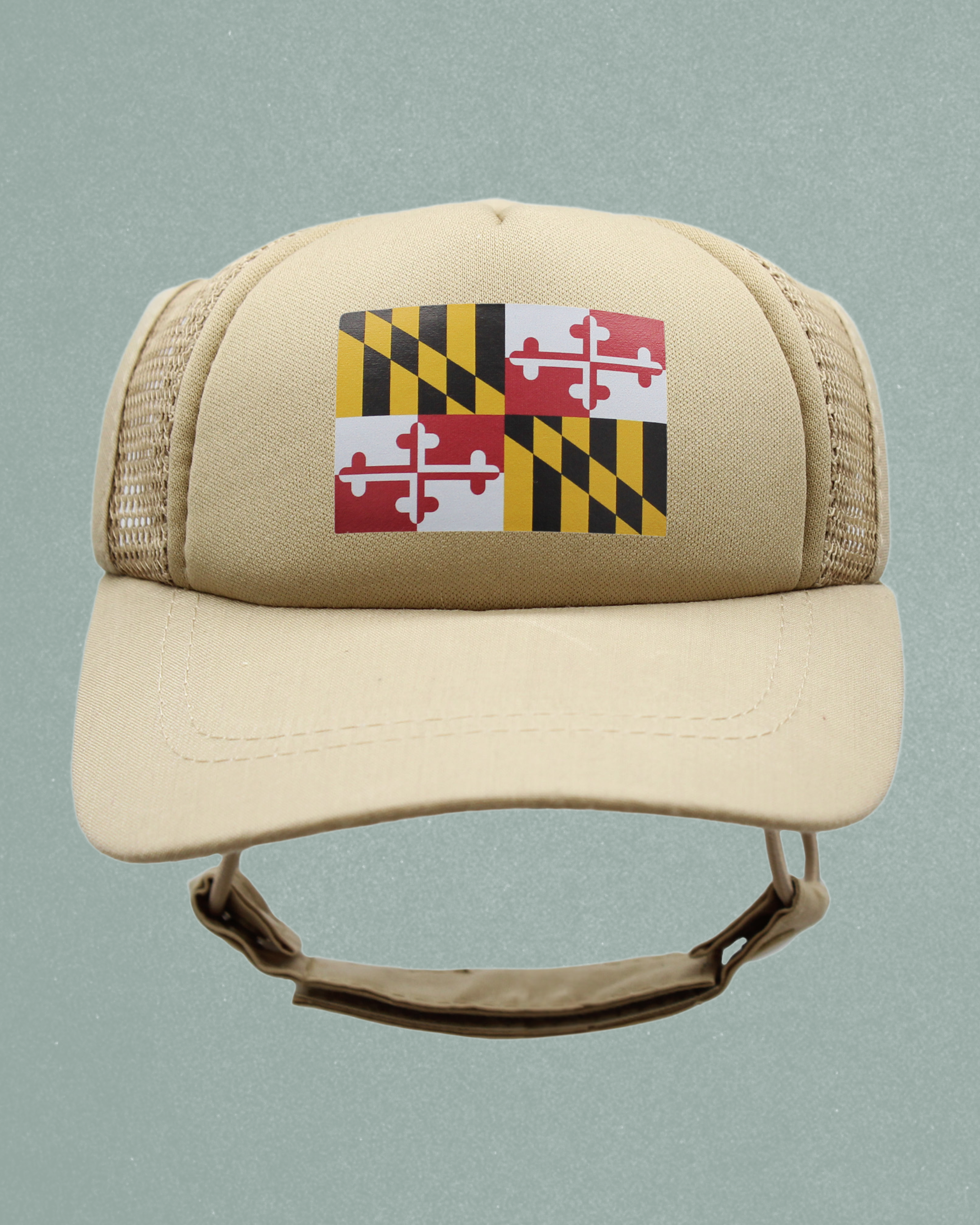 maryland flag
