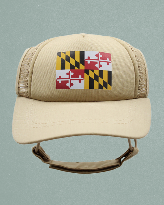 maryland flag