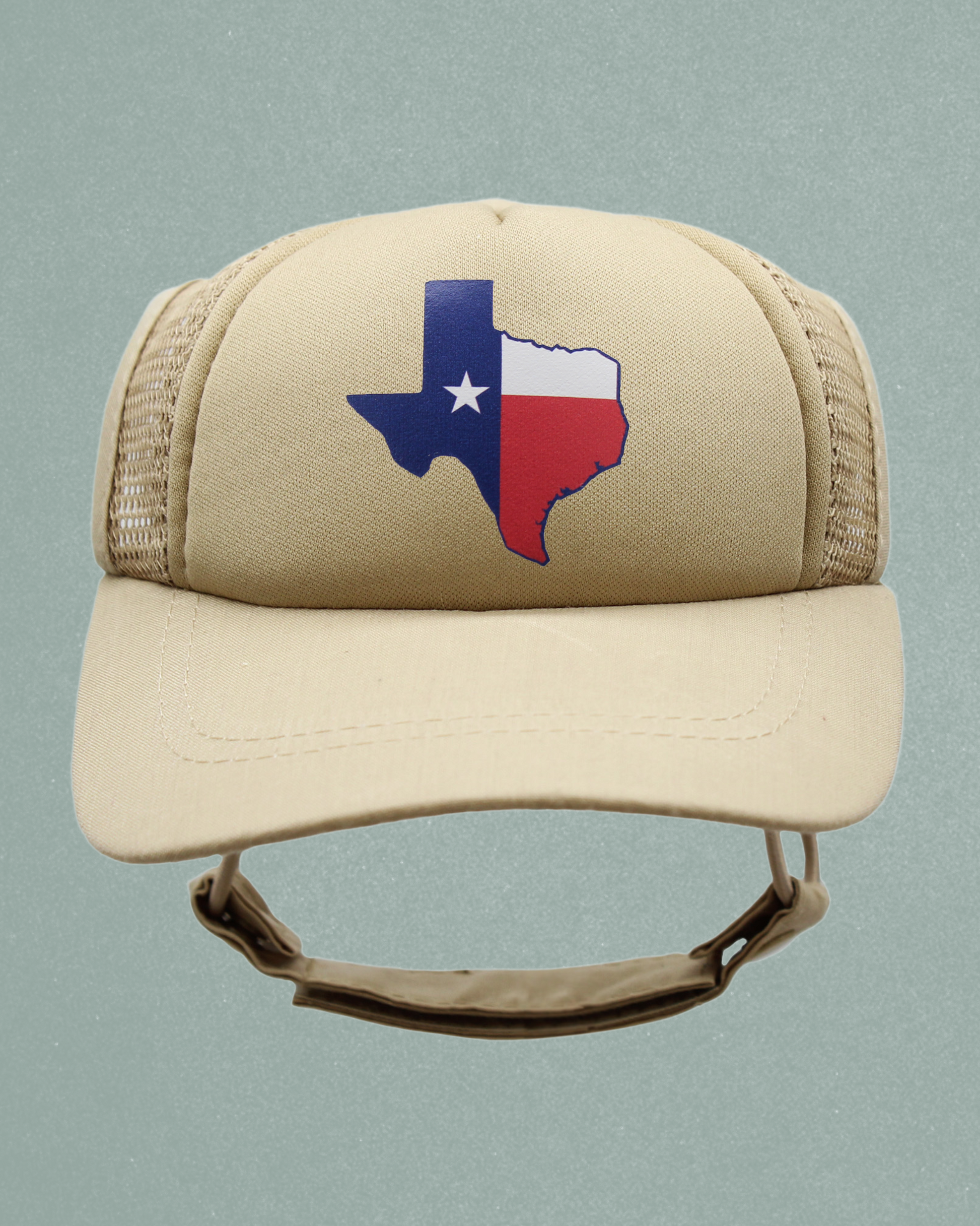 texas flag