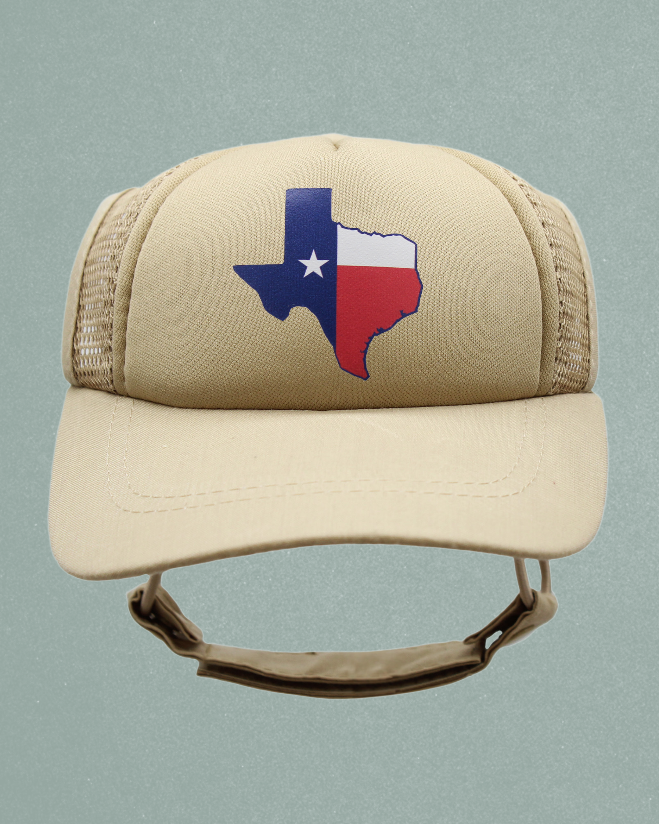 texas flag