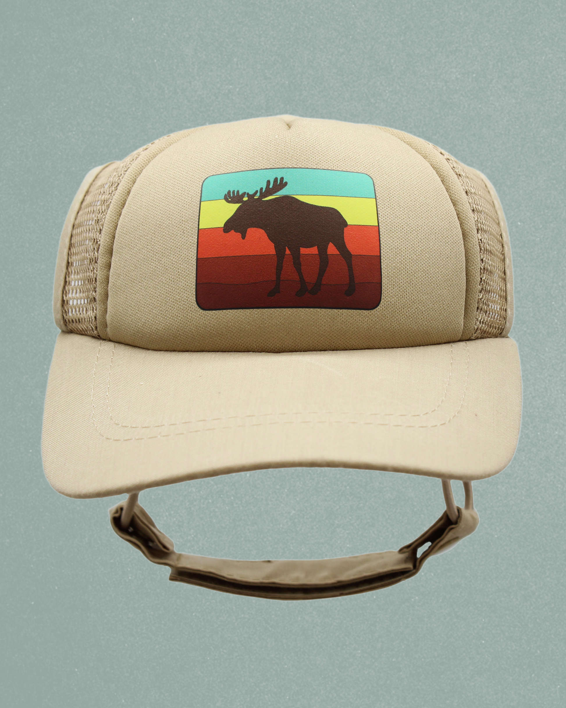 moose
