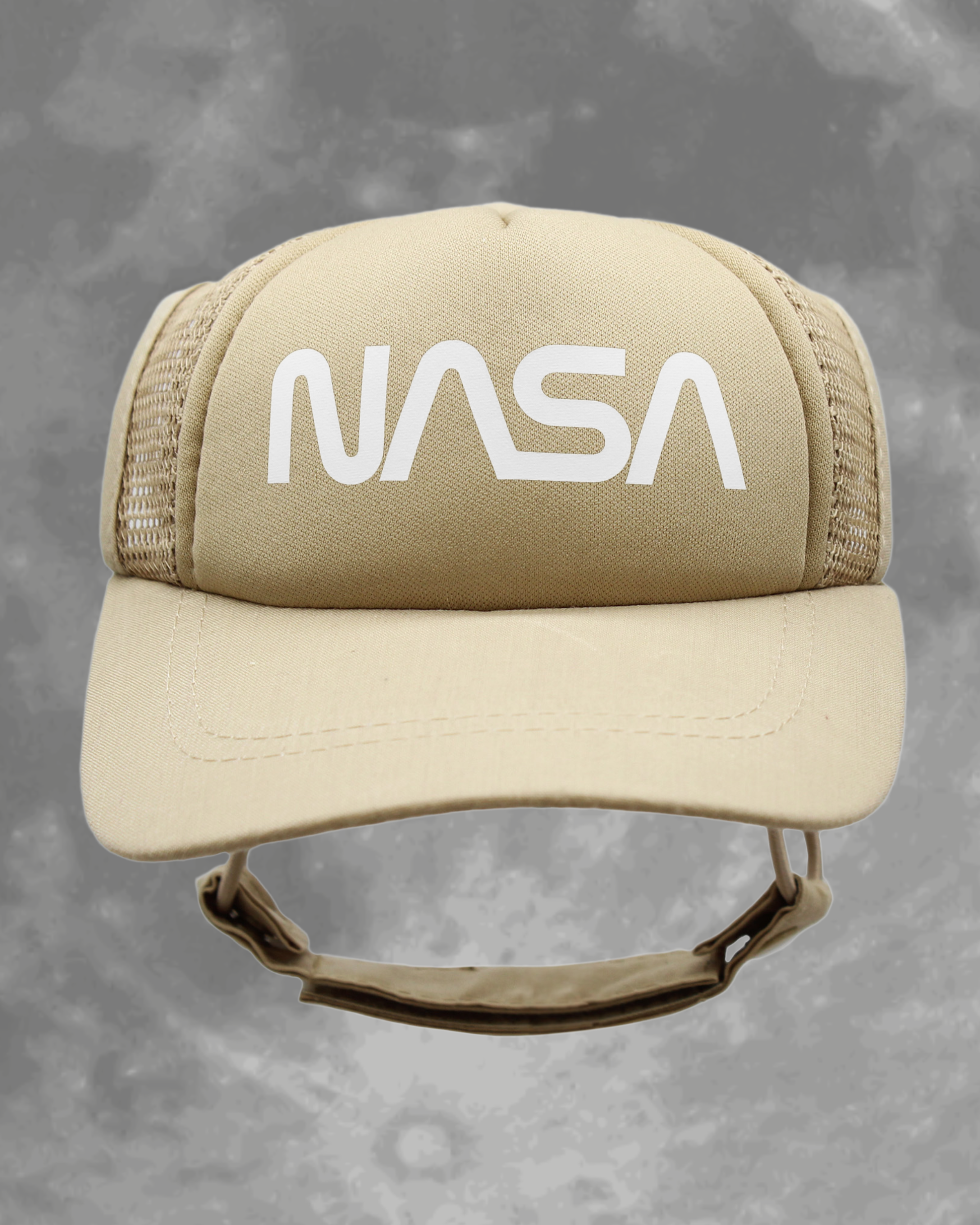 NASA worm