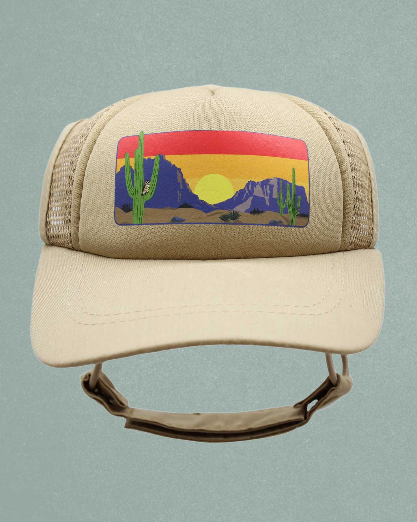 desert owl cat hat
