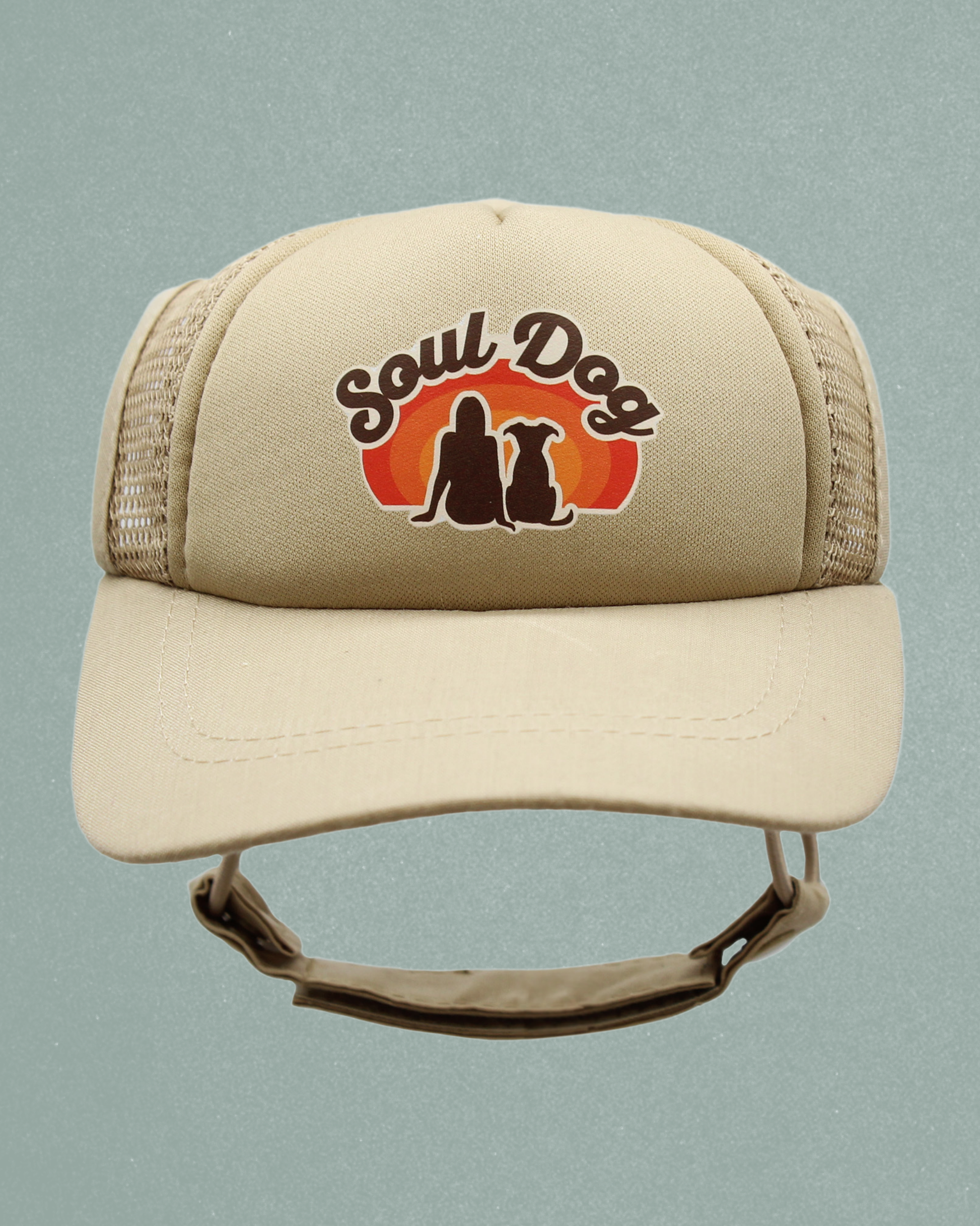 soul dog mom