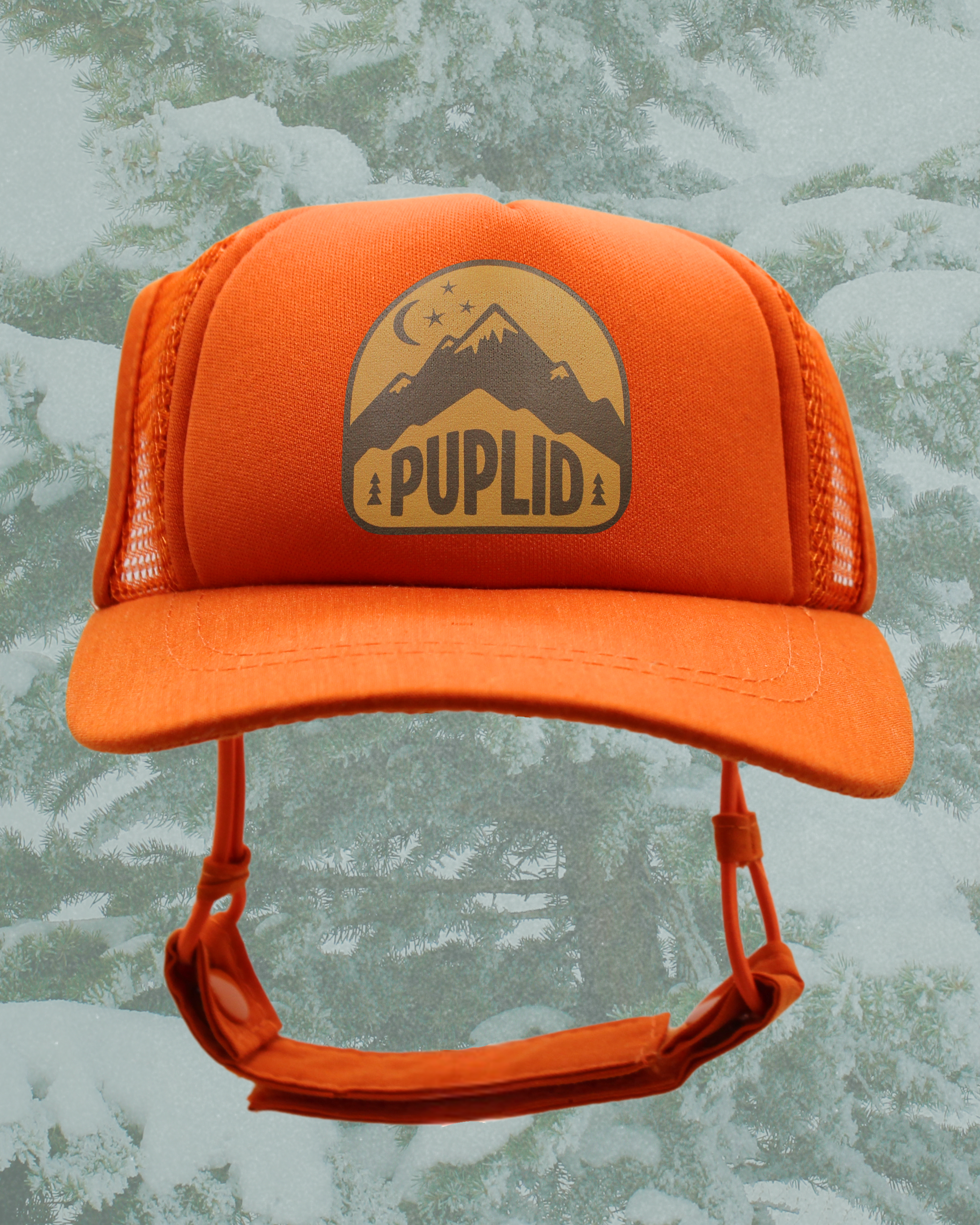 mountain badge