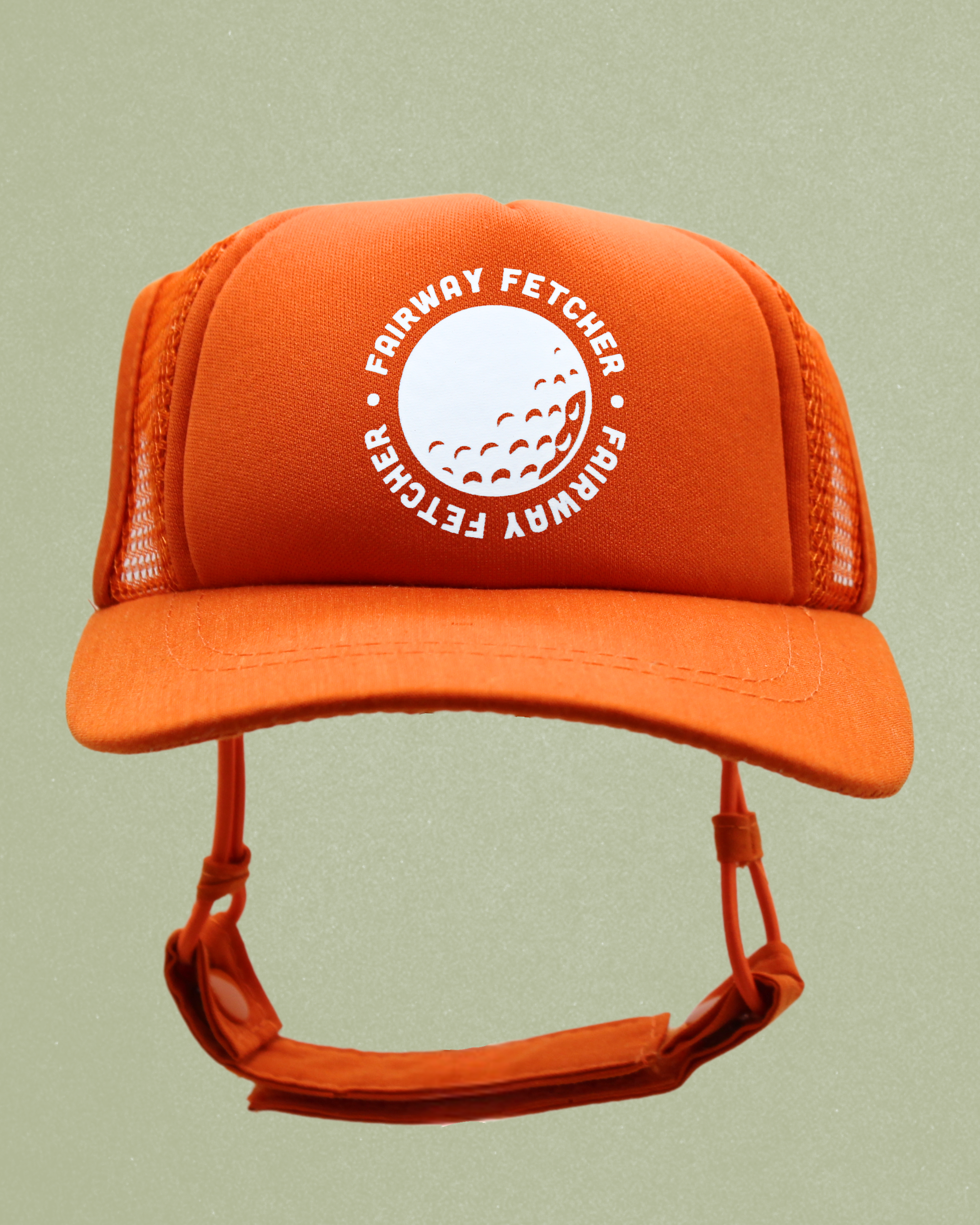 sports collection