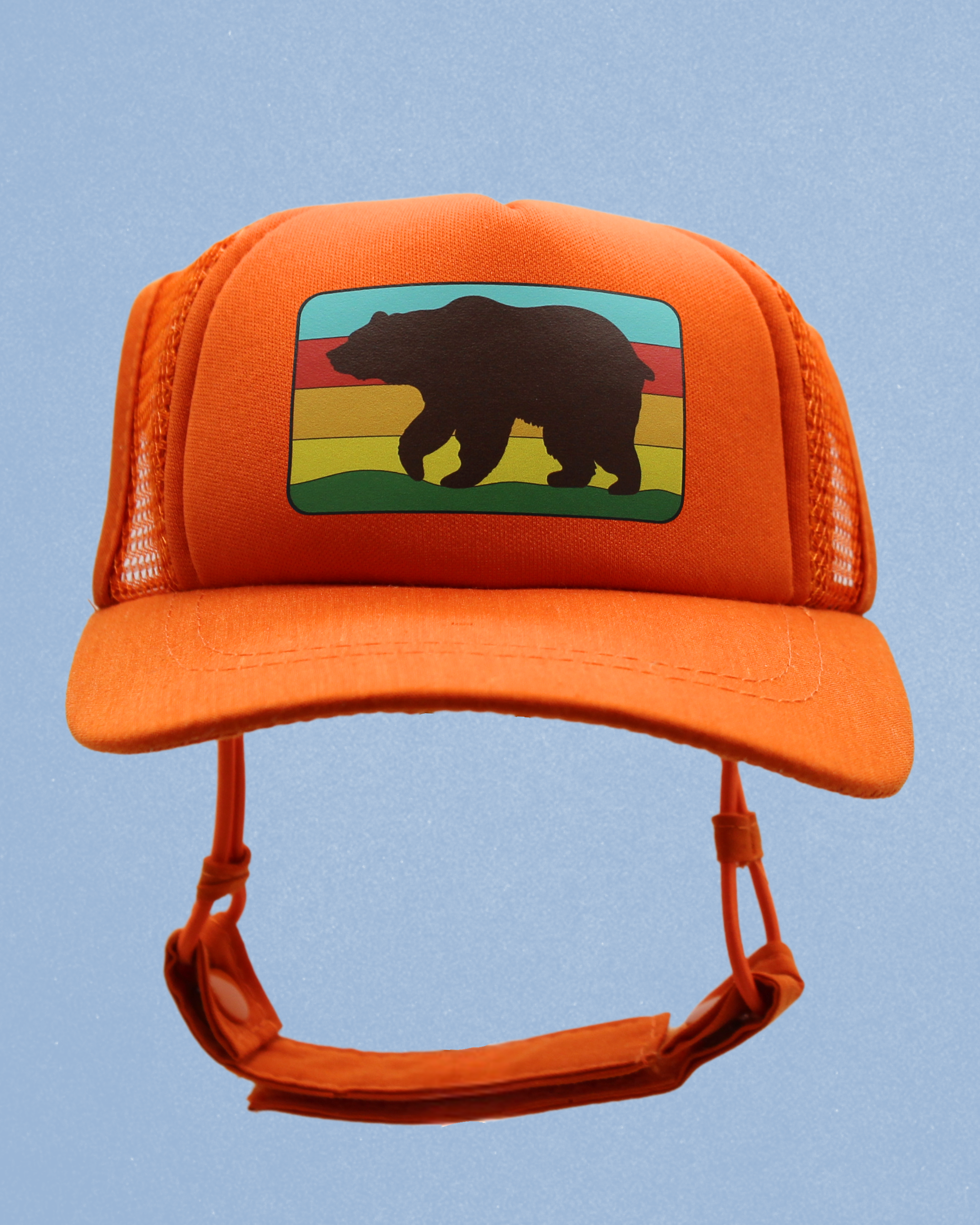 bear cat hat