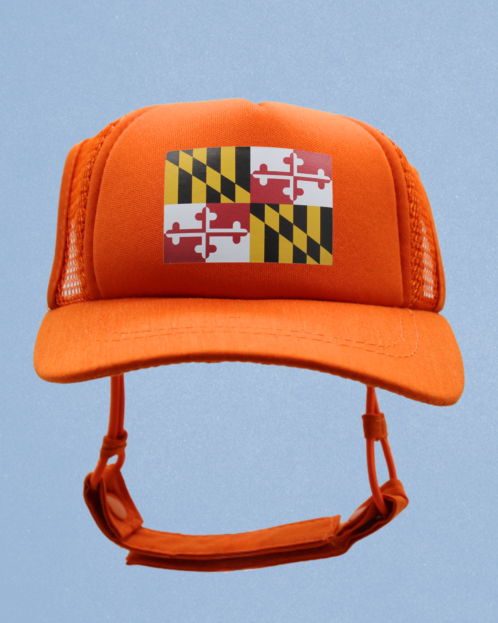 maryland flag