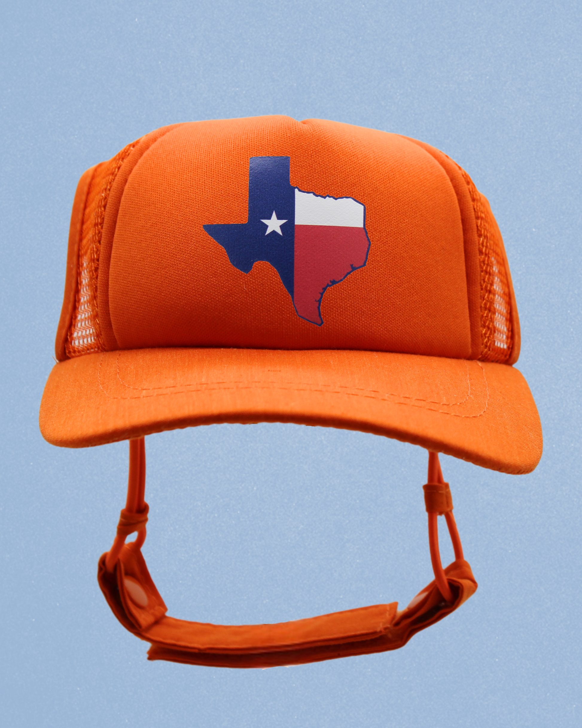 texas flag
