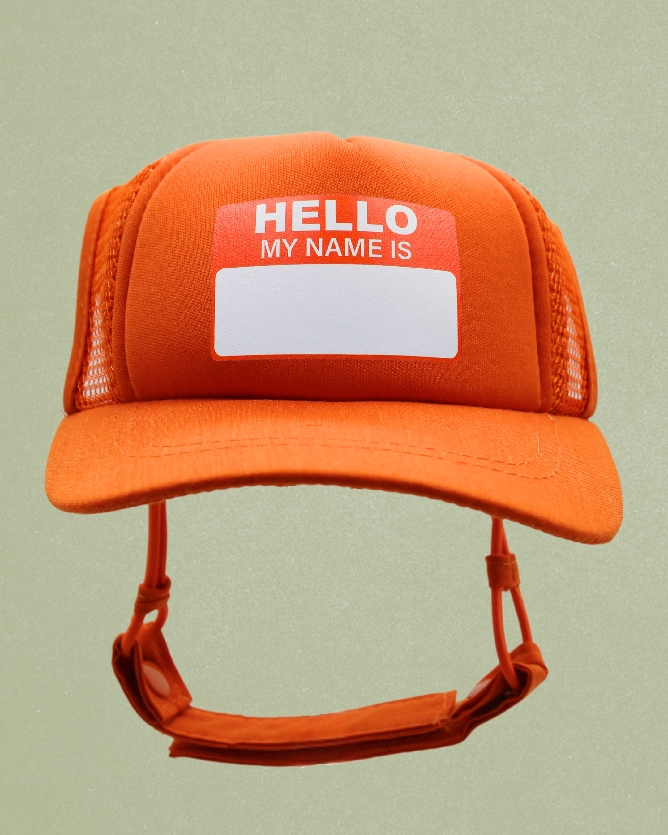 hello my name is...