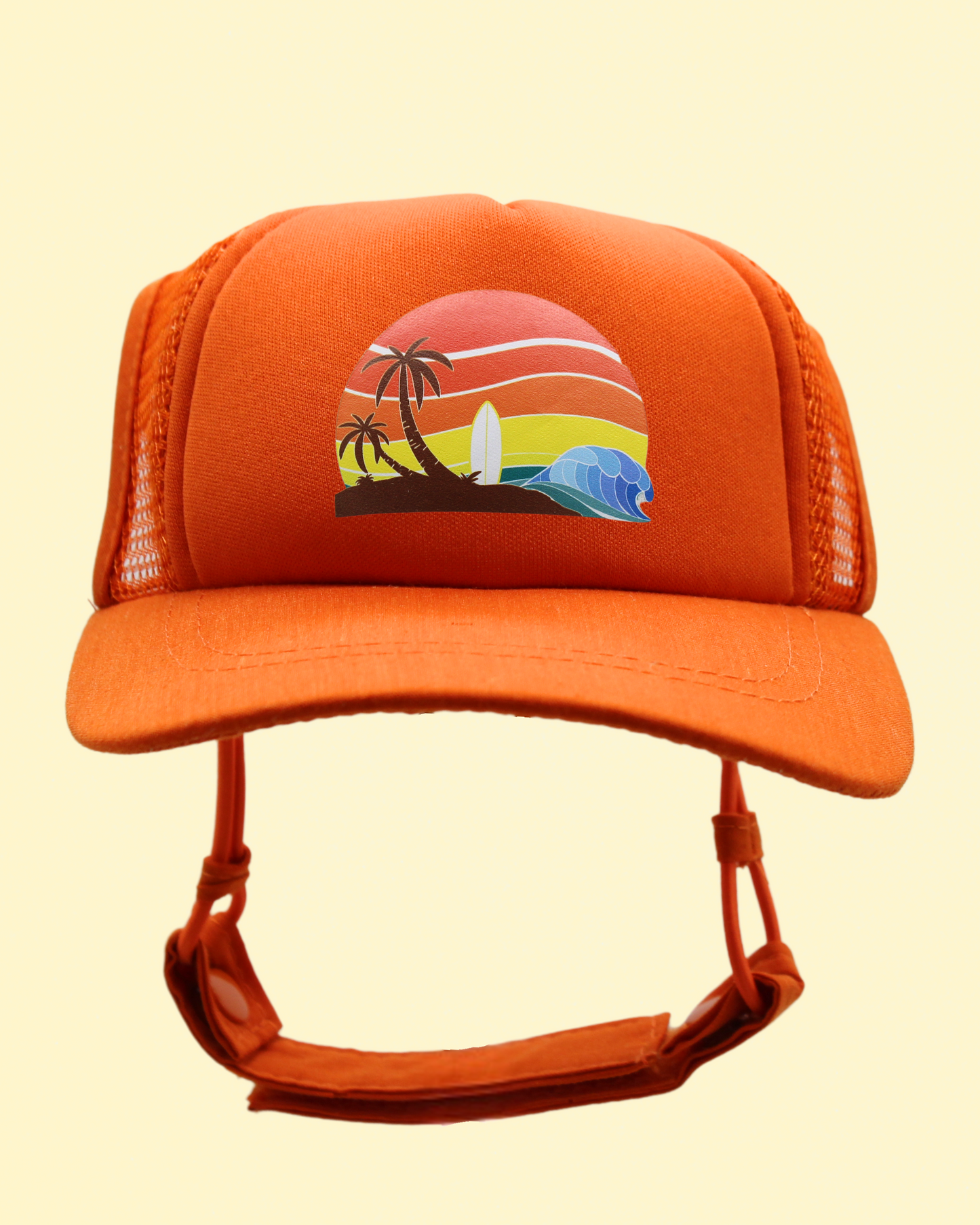 island sunset cat hat