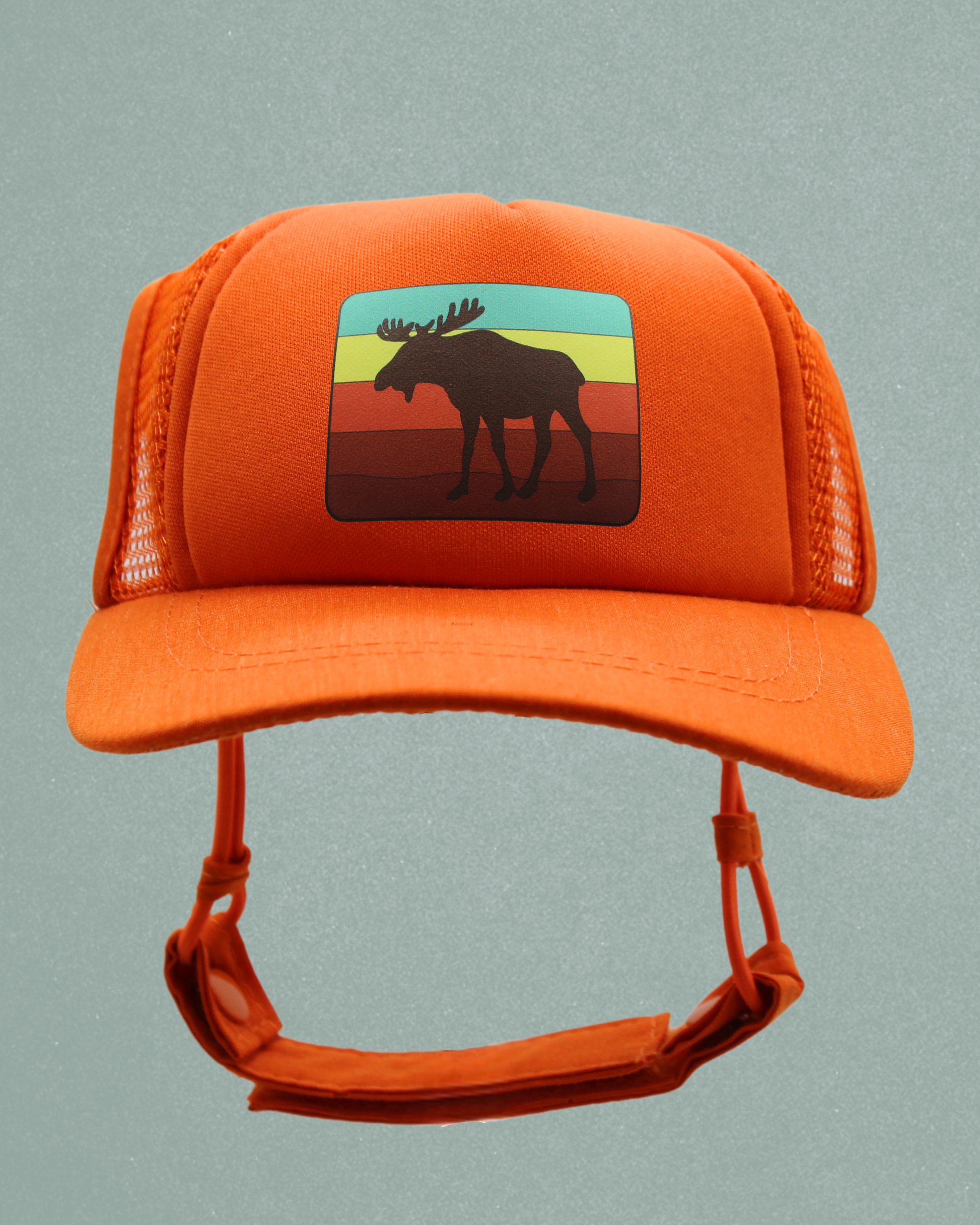 moose