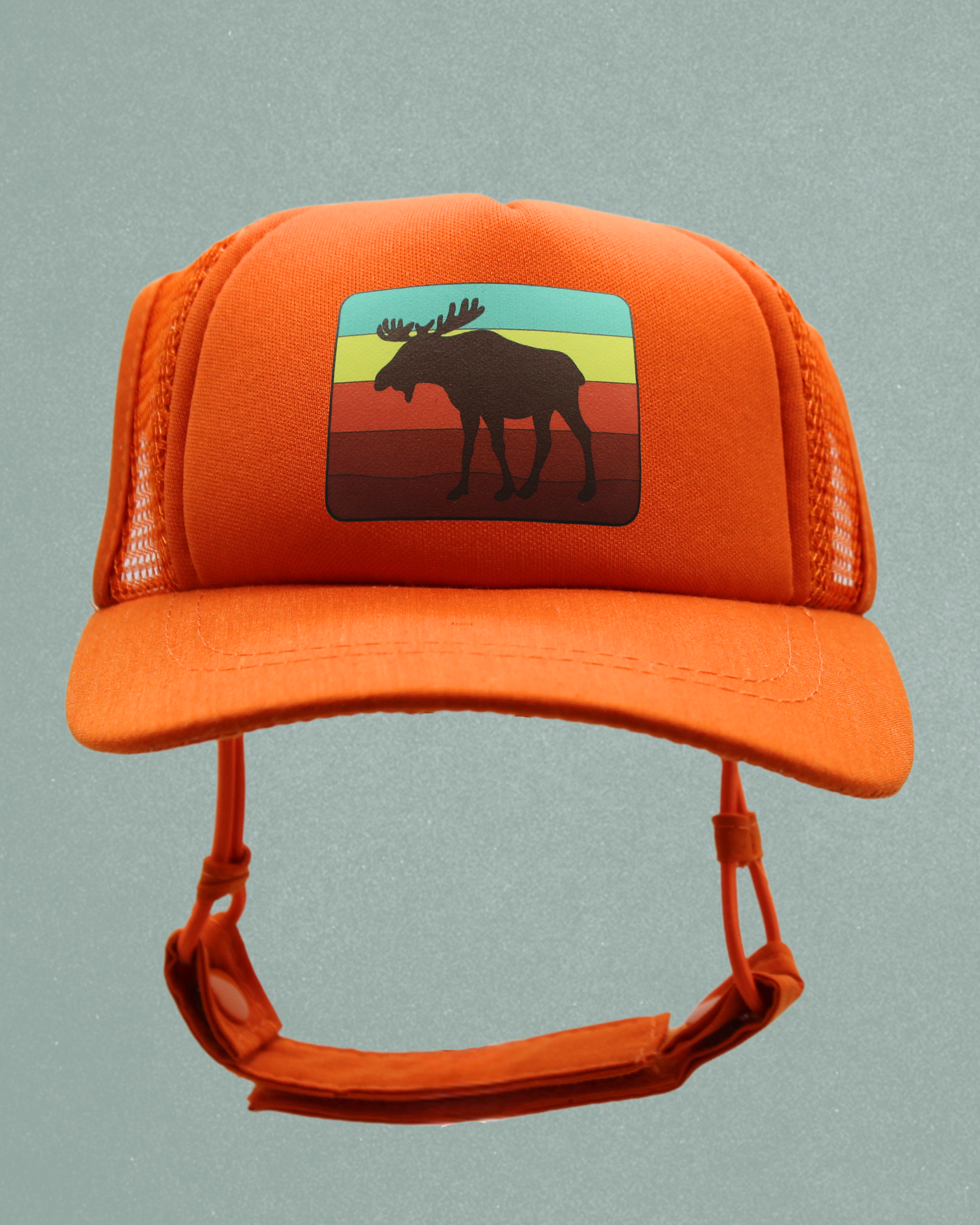 moose