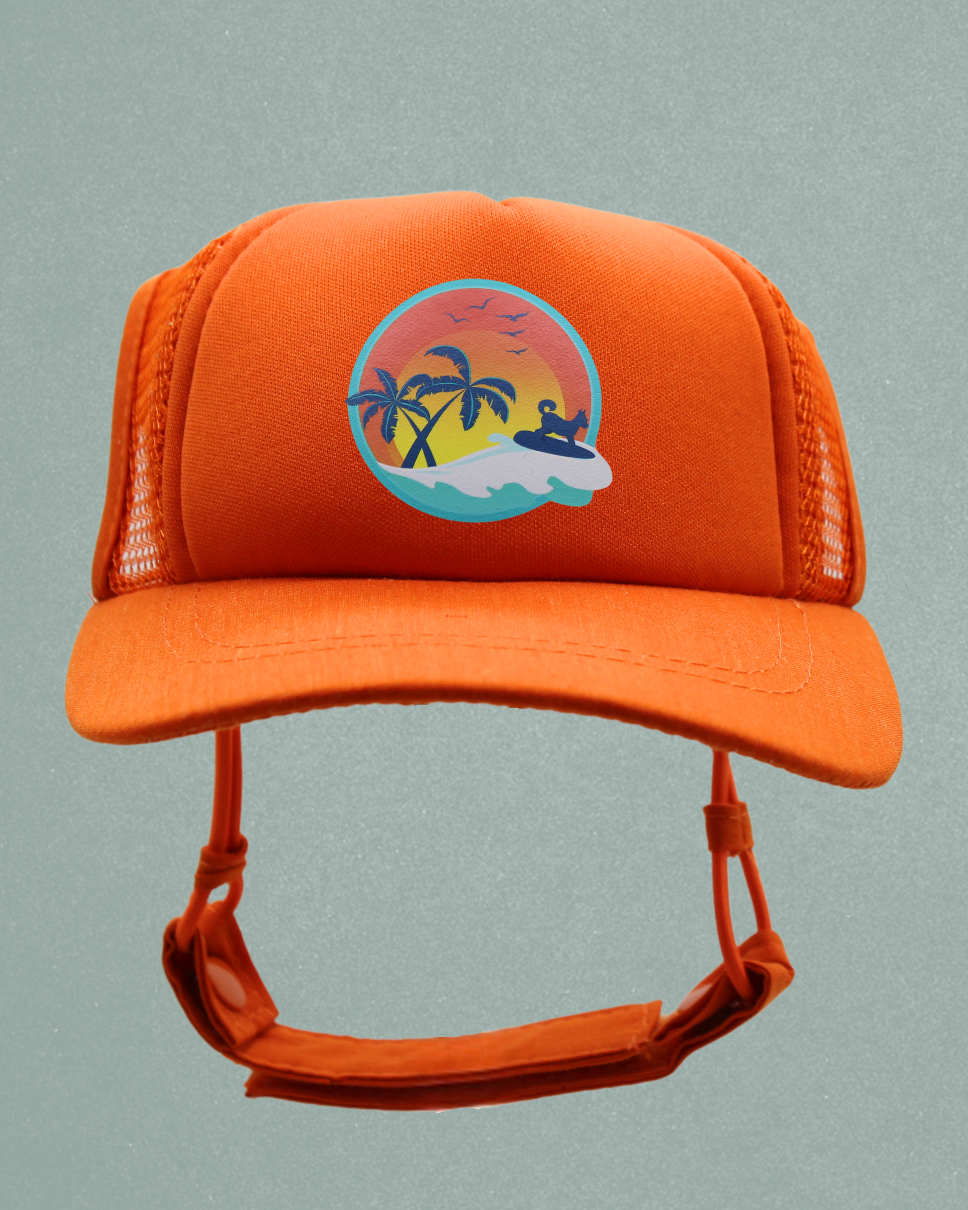 surfer dog