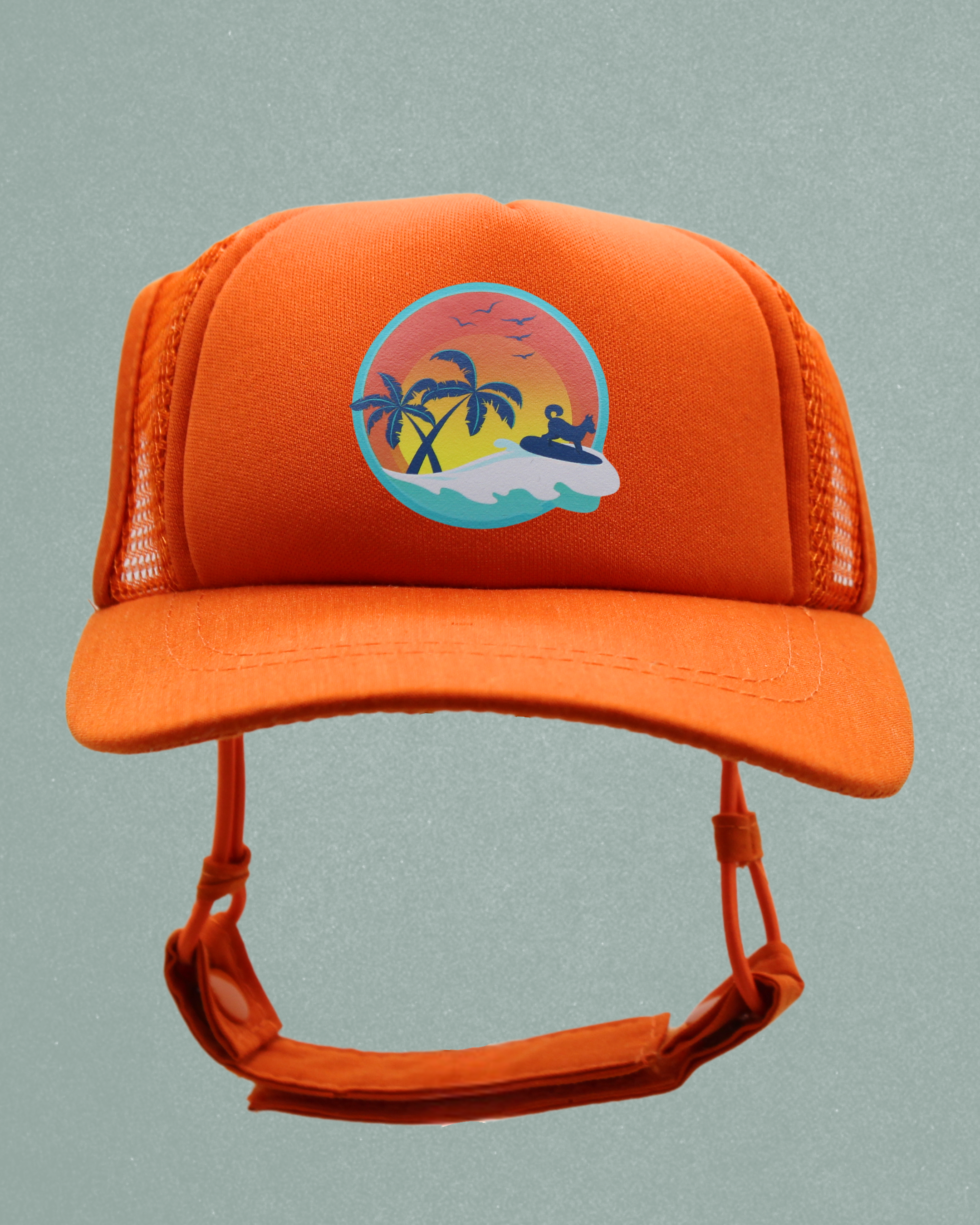 surfer dog