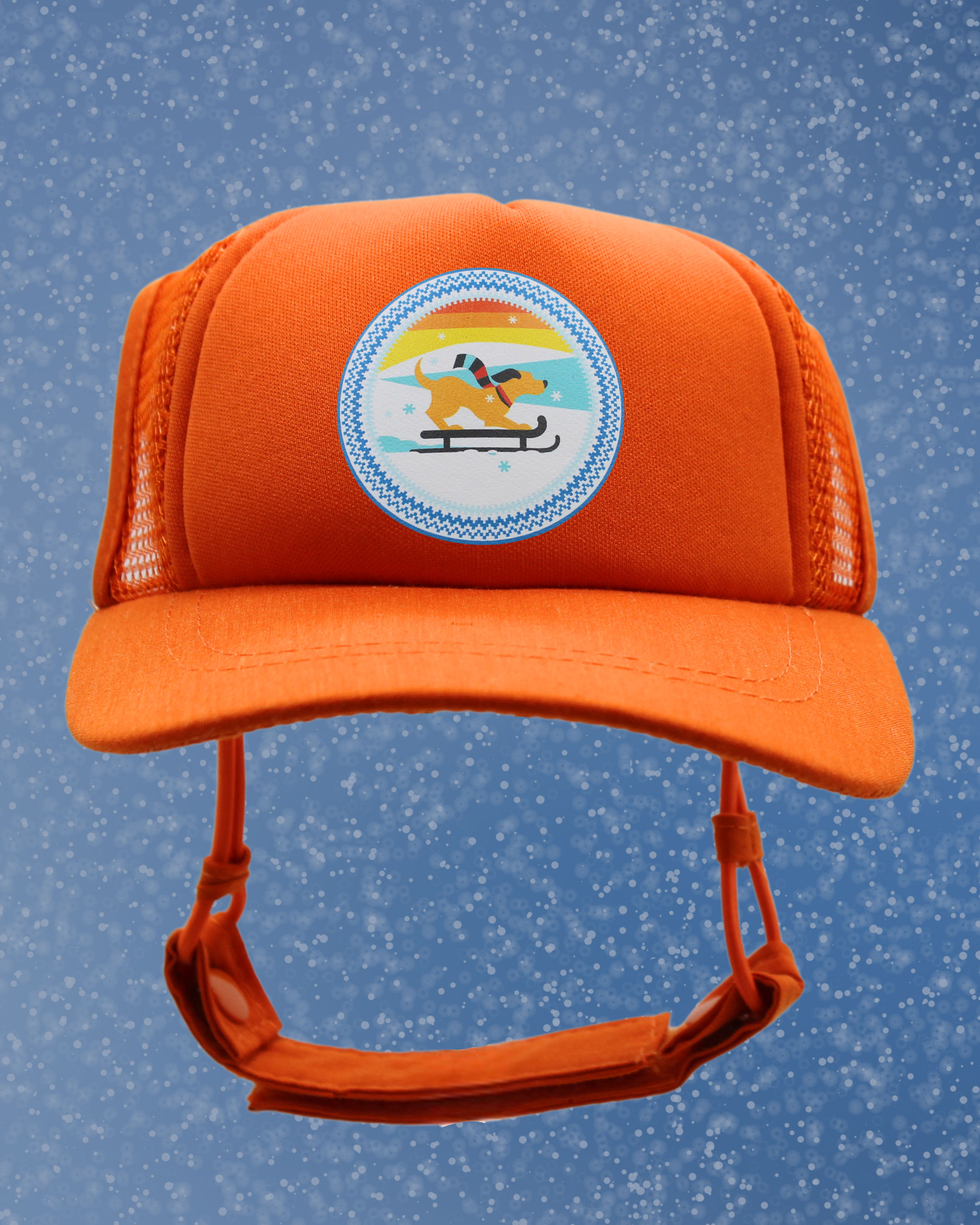 sled dog