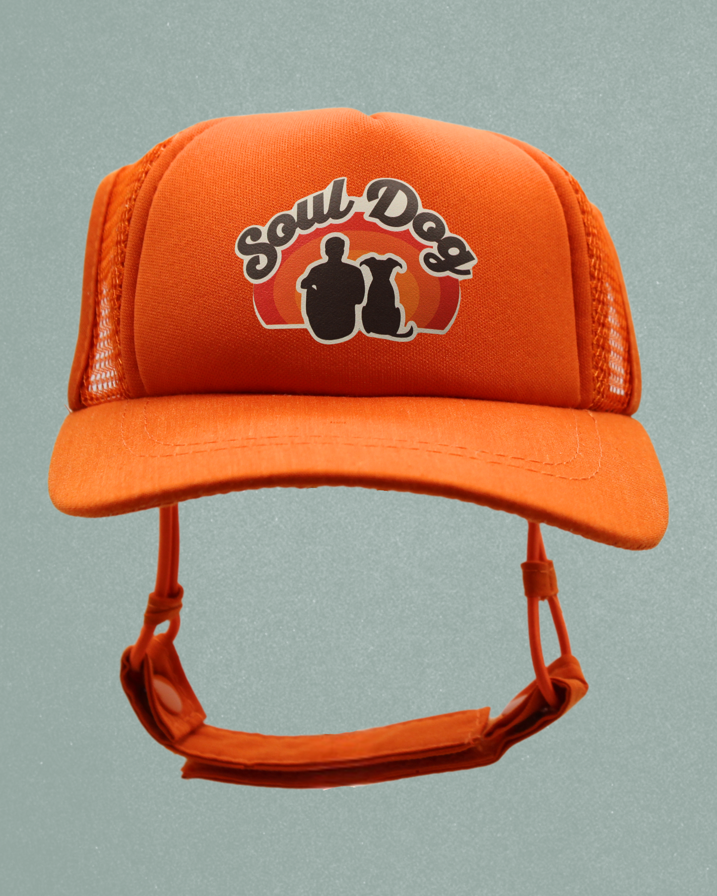 soul dog dad