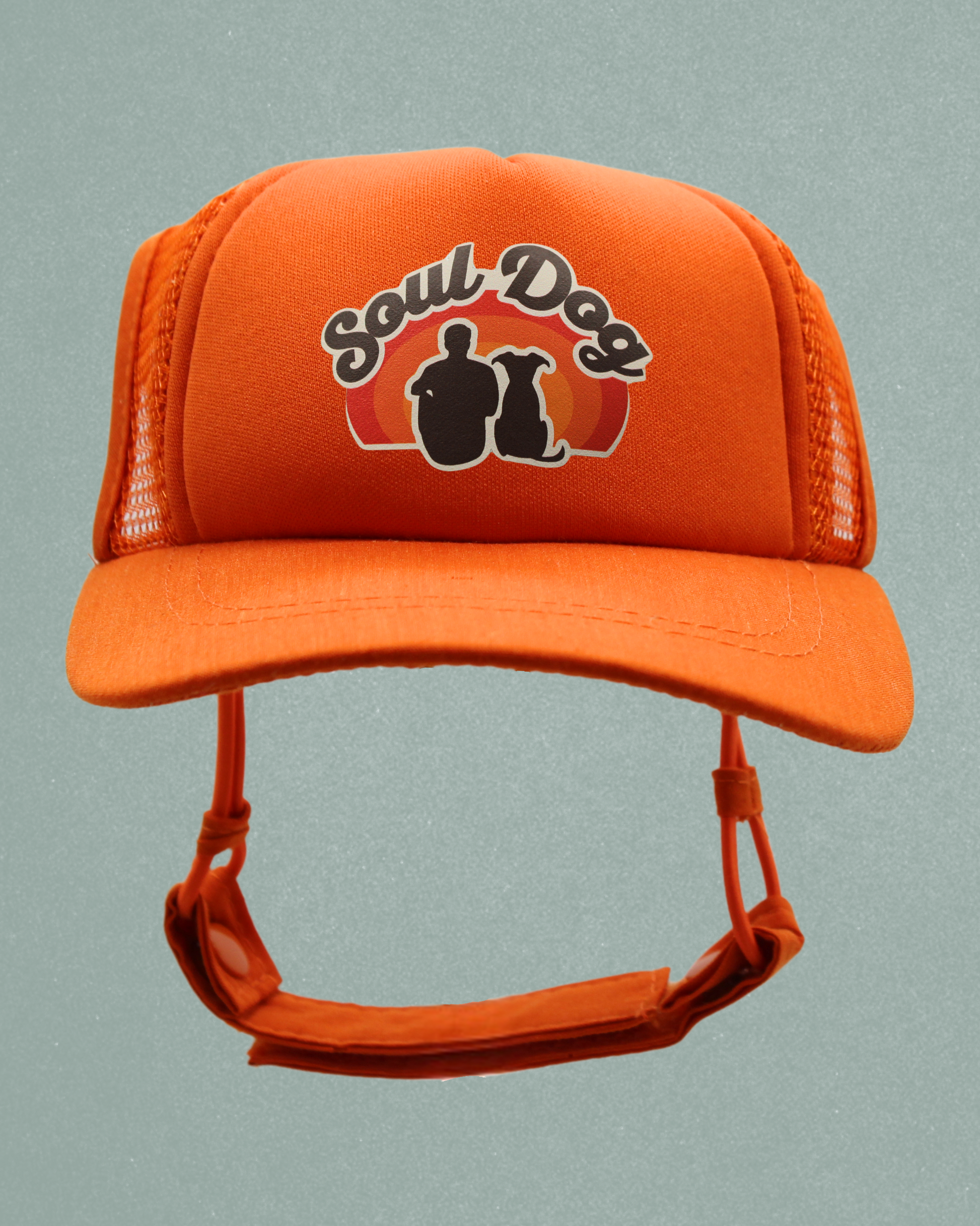 soul dog dad