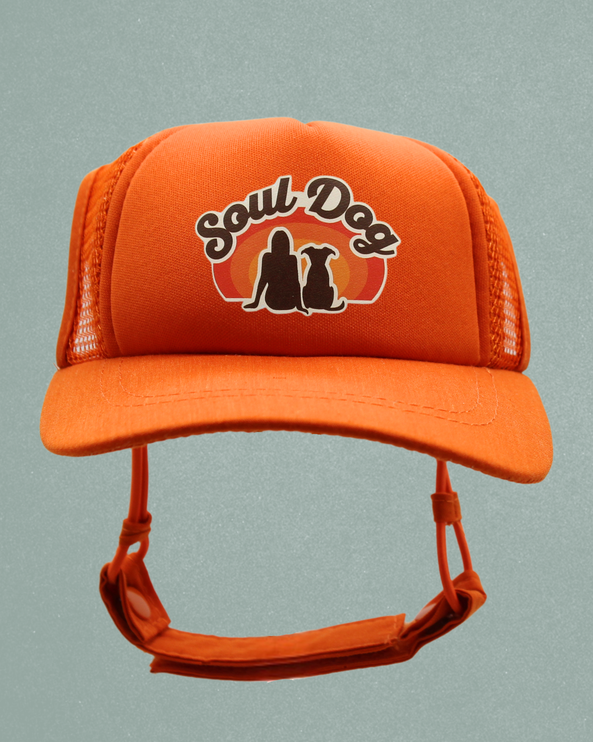 soul dog mom