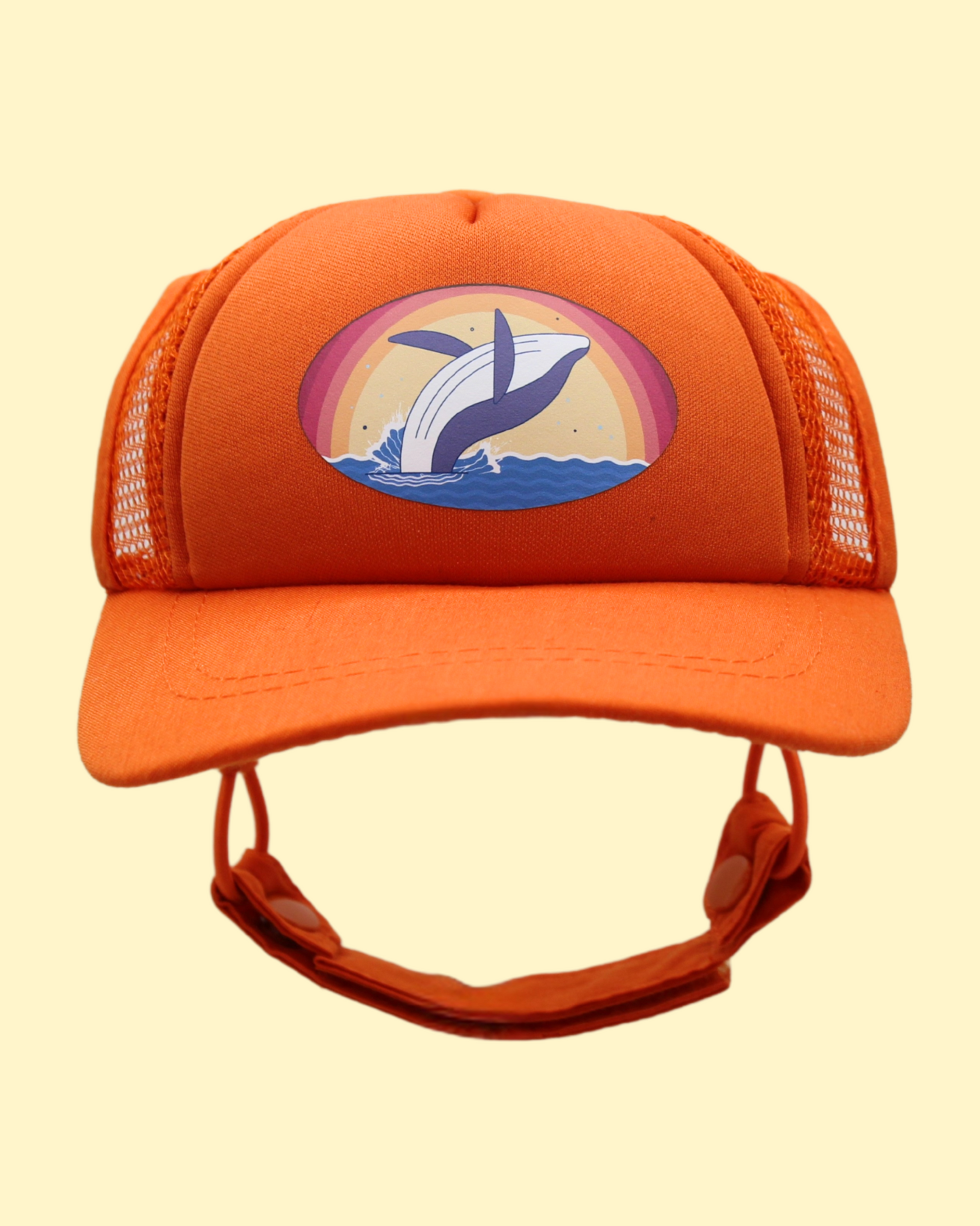 whale