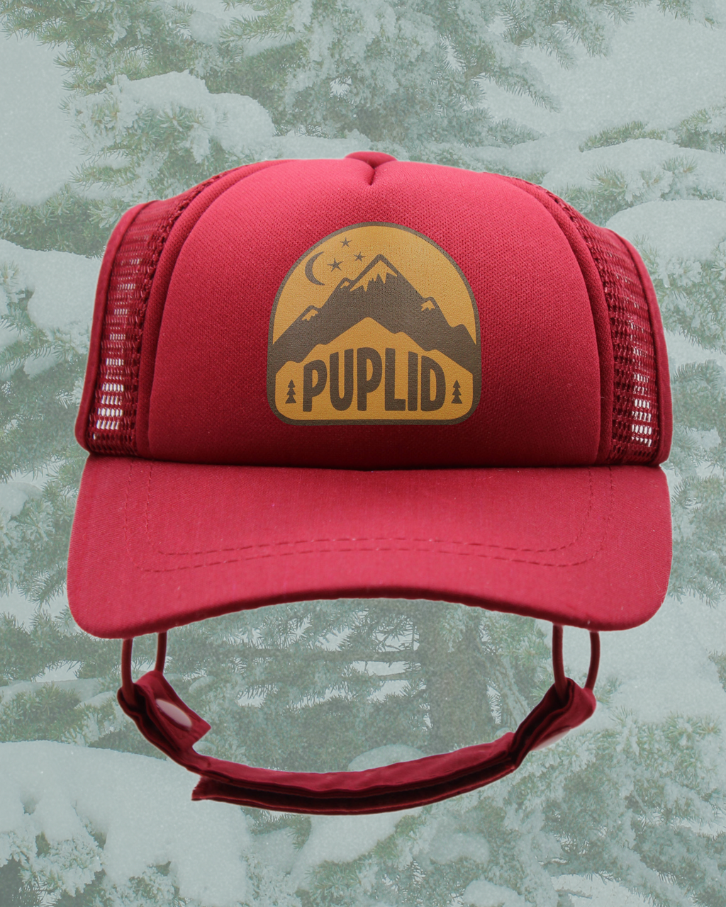 mountain badge