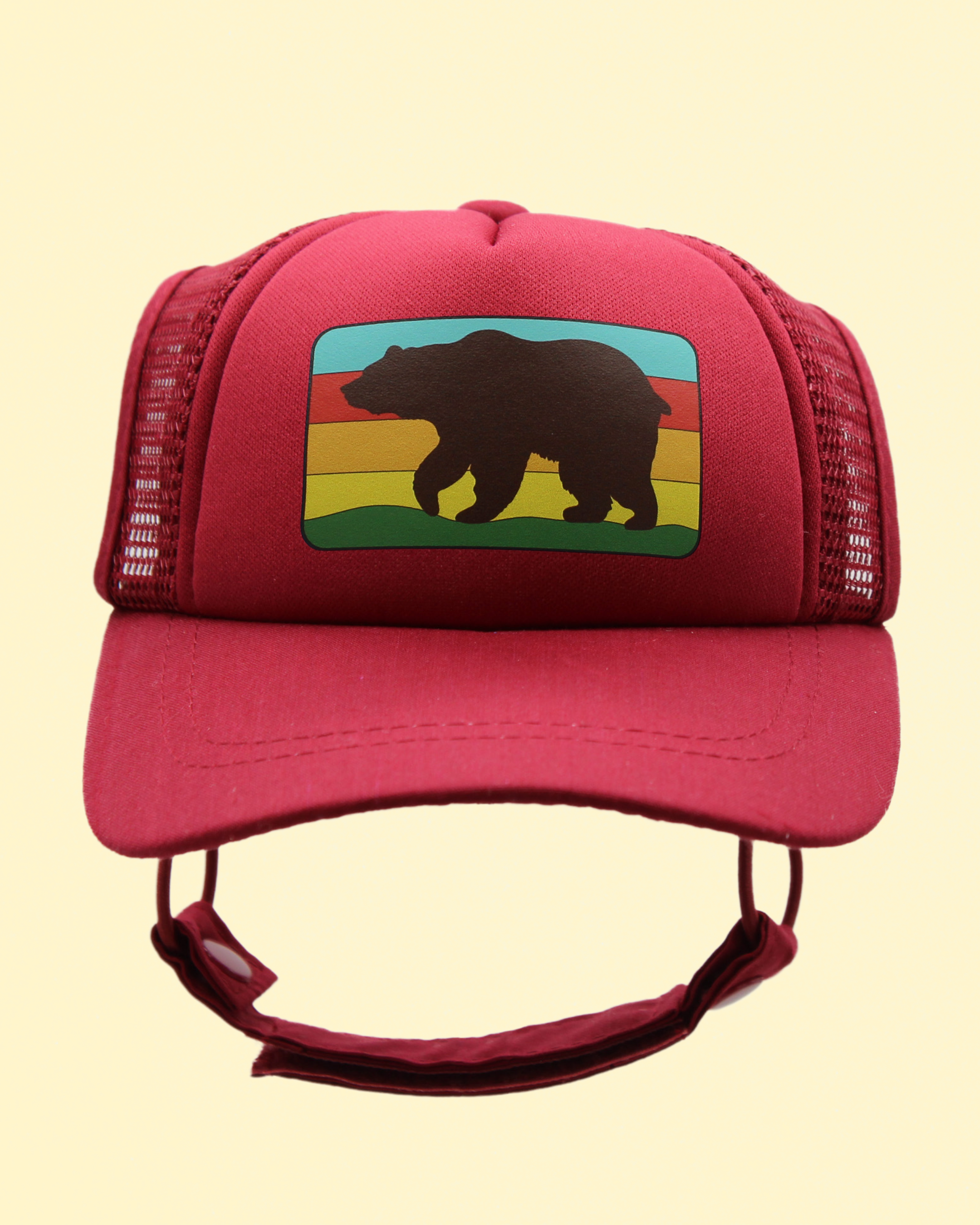 bear cat hat