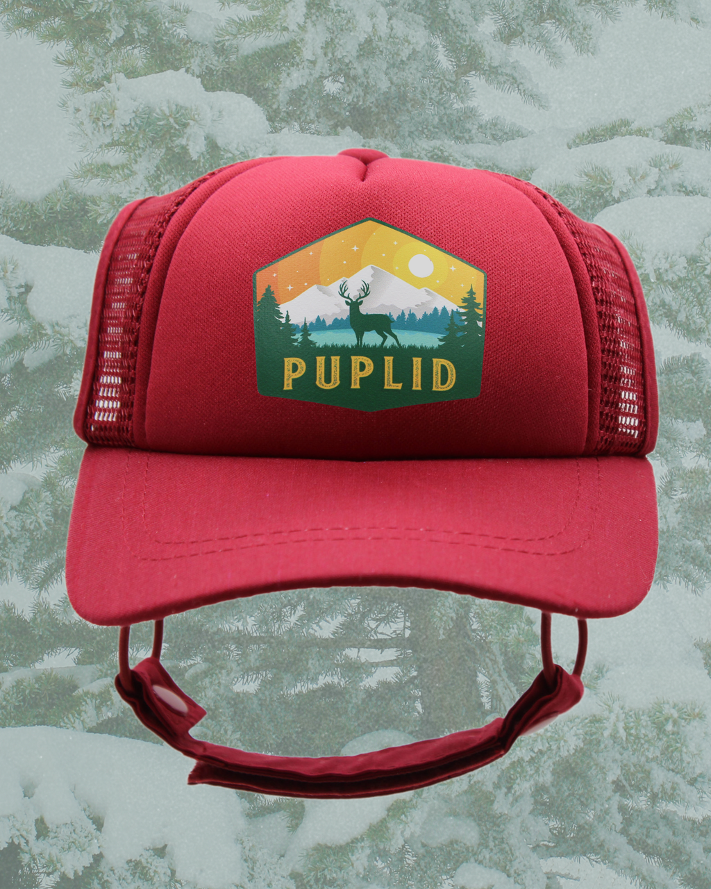 elk