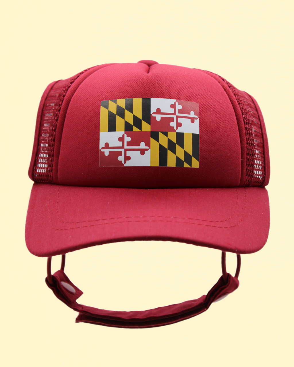 maryland flag