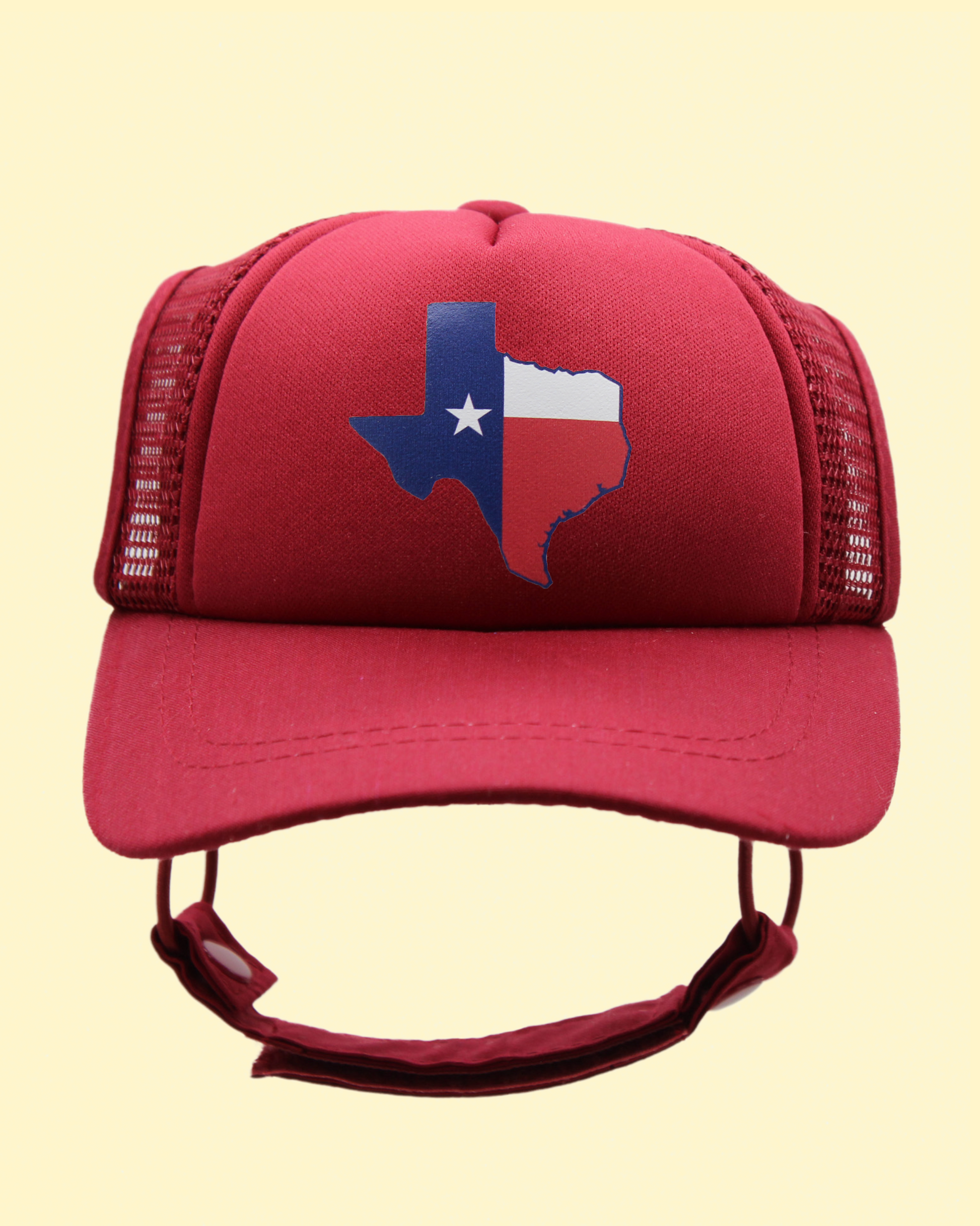 texas flag