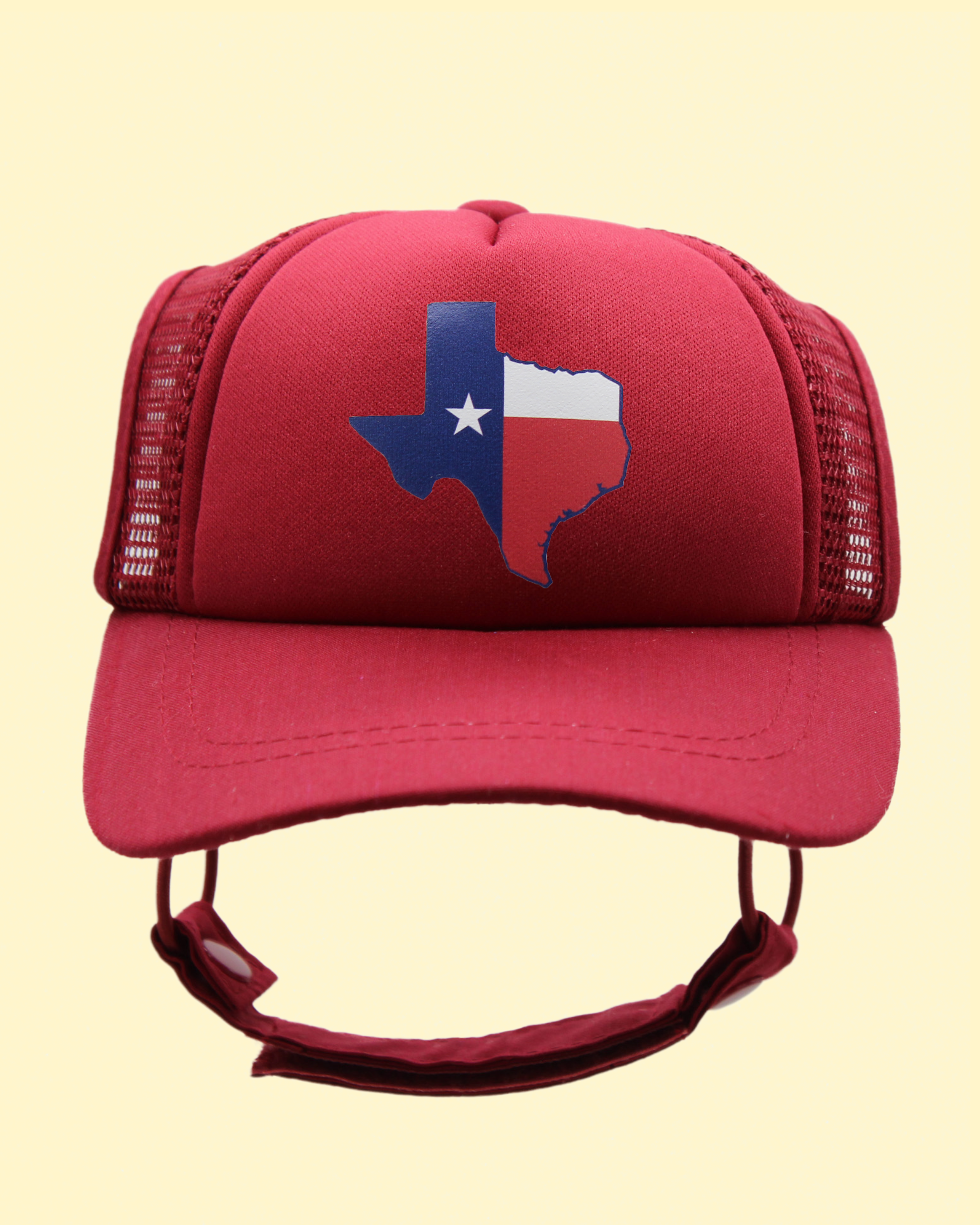 texas flag