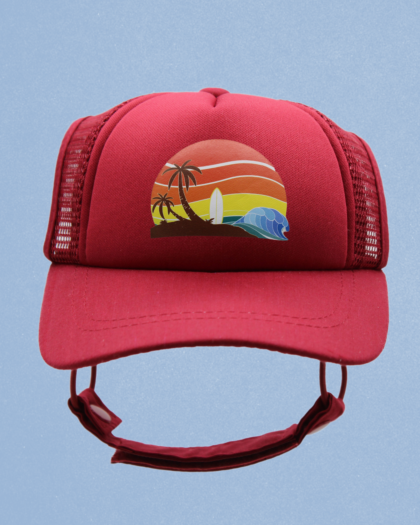 island sunset cat hat
