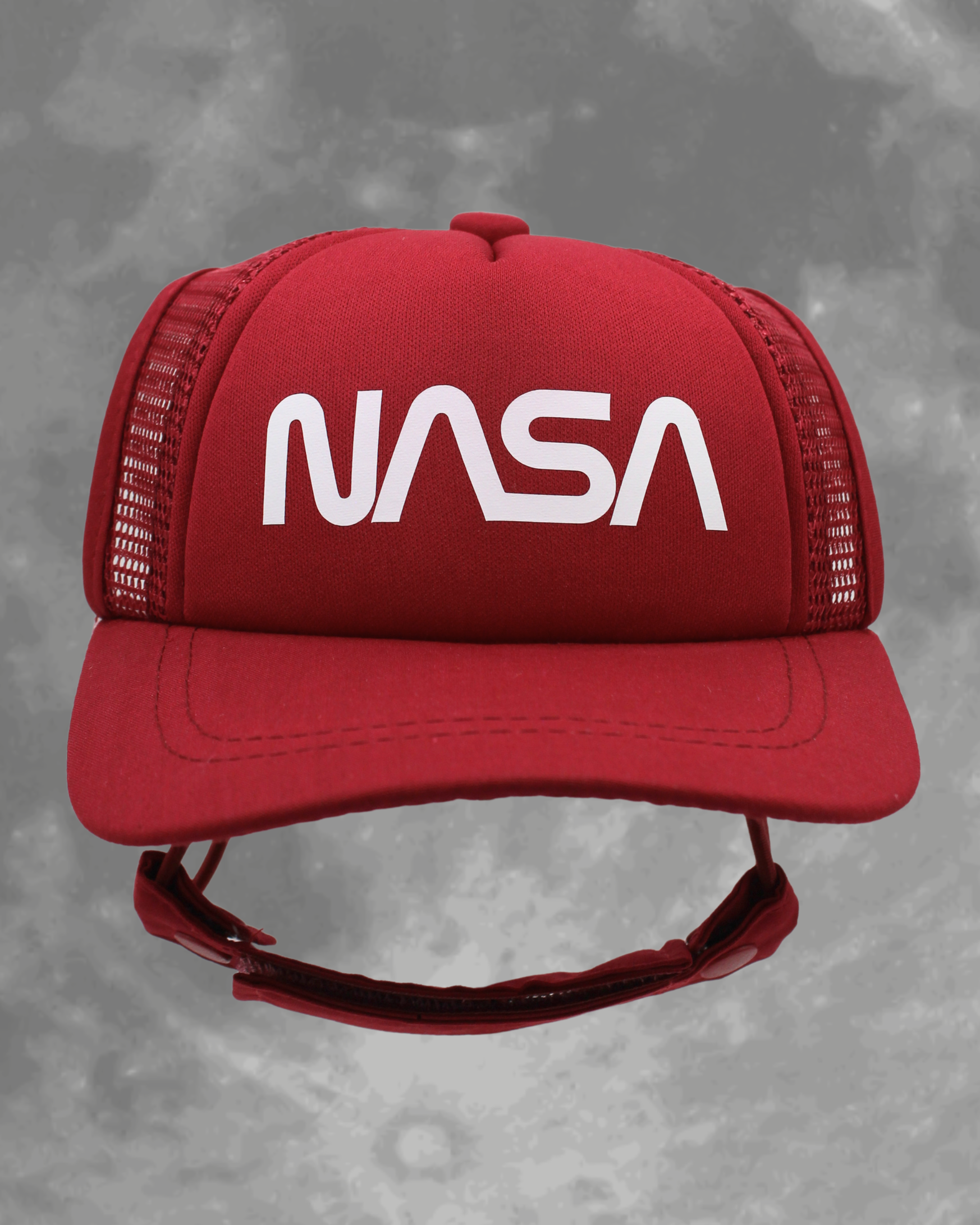 NASA worm