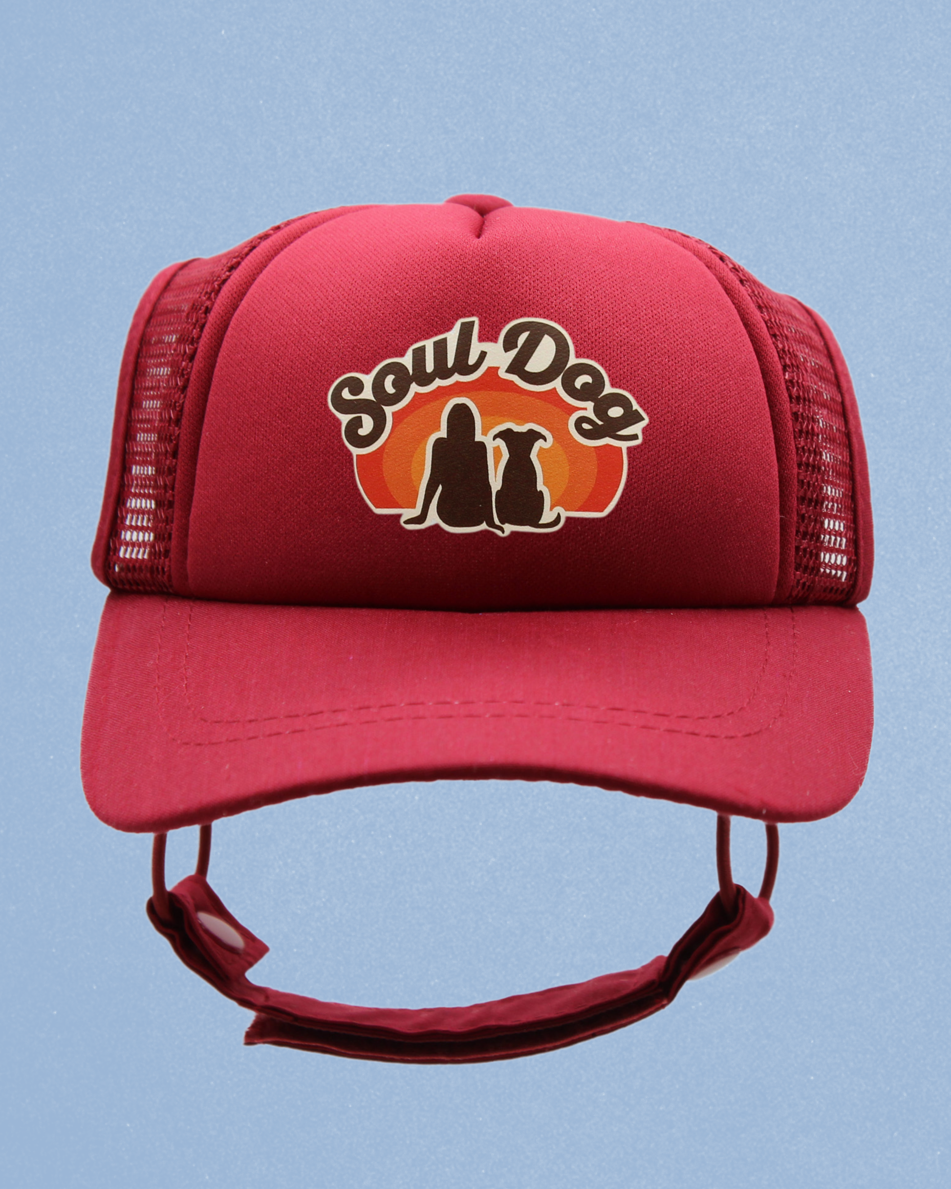 soul dog mom